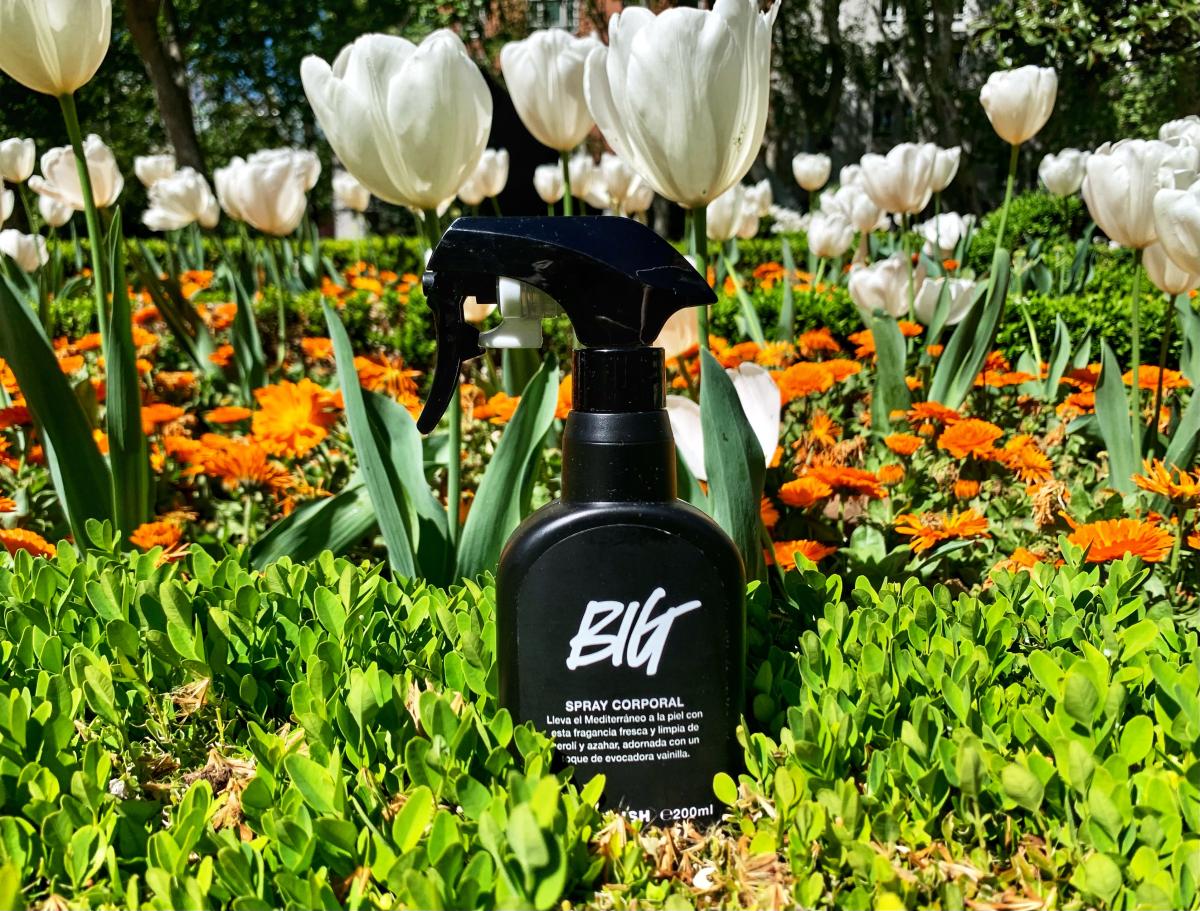 عطر ادکلن بیش لاش - Big Lush - بررسی، قیمت و خرید