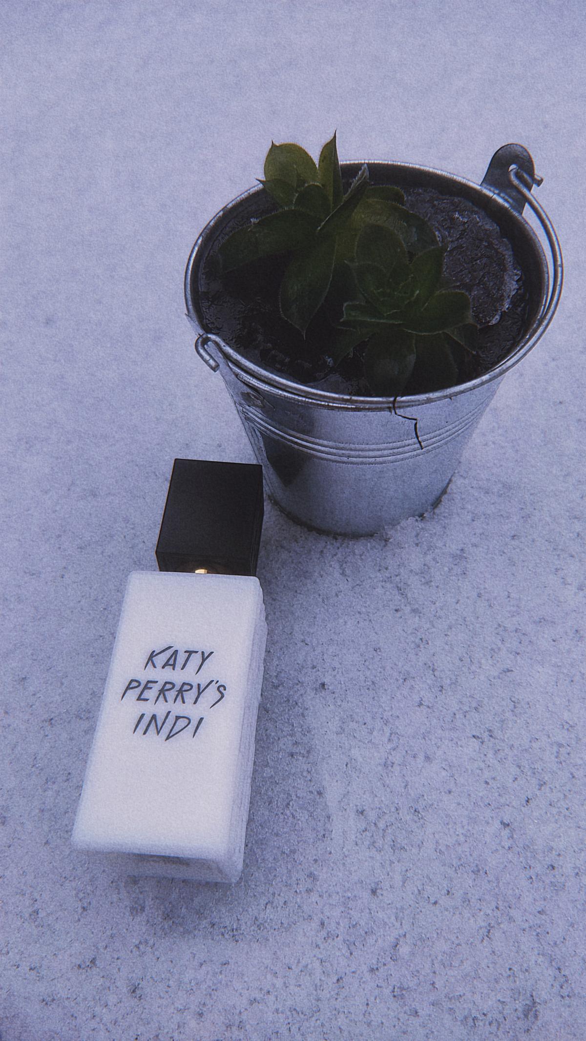 عطر ادکلن کتی پریز ایندی کتی پری - Katy Perry's Indi Katy Perry - بررسی، قیمت و خرید