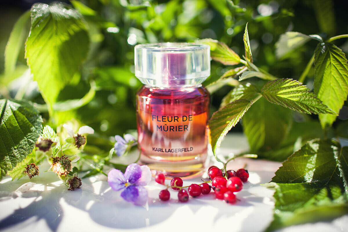 عطر ادکلن فلور دو موریه کارل لاگرفلد - Fleur de Murier Karl Lagerfeld - بررسی، قیمت و خرید