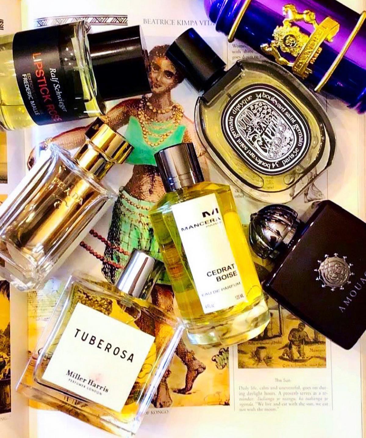 عطر ادکلن تیوبرُسا میلهاریس - Tuberosa Miller Harris - بررسی، قیمت و خرید