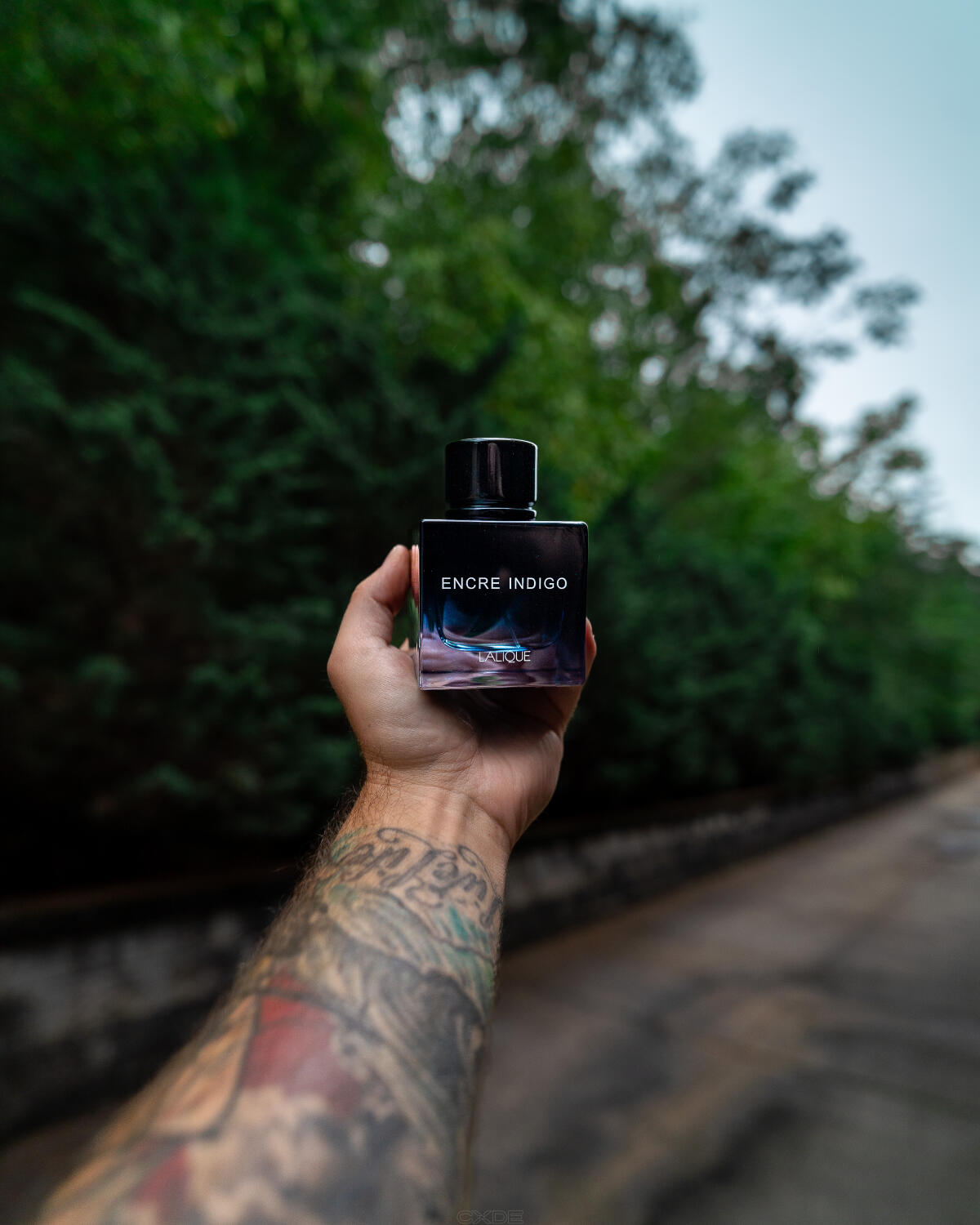 عطر ادکلن انکر ایندیگو لالیک - Encre Indigo Lalique - بررسی، قیمت و خرید