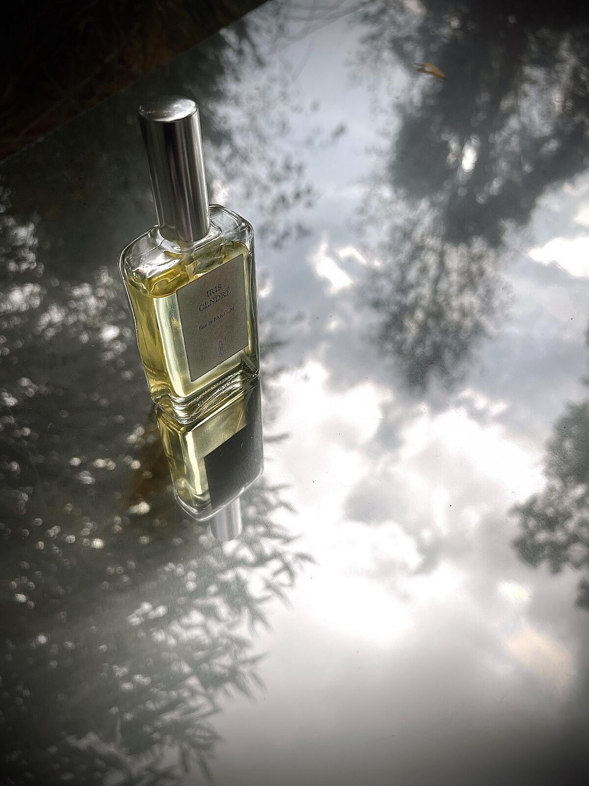 عطر ادکلن آیریس سندر نایومی گودسیر - Iris Cendre Naomi Goodsir - بررسی، قیمت و خرید