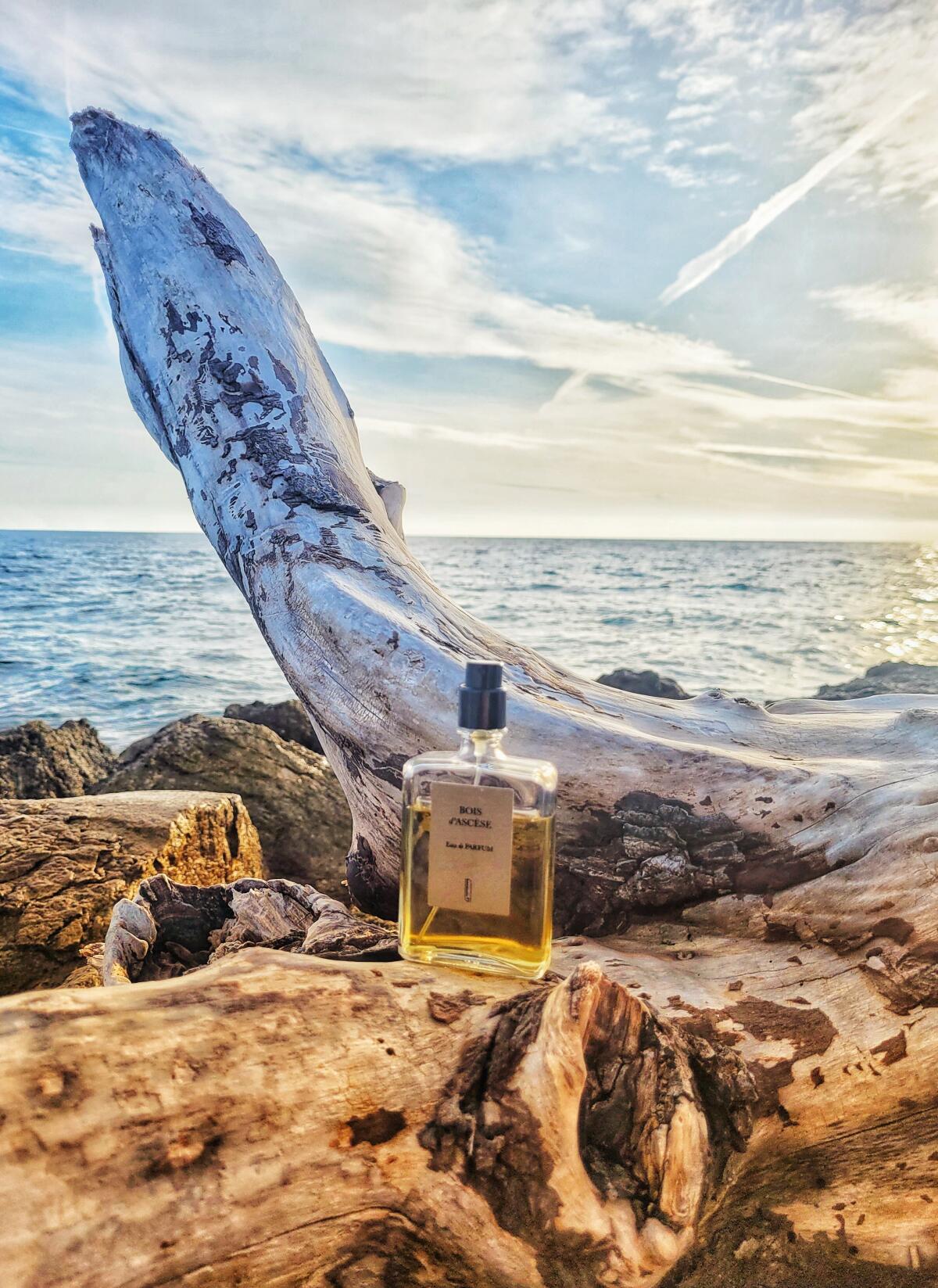 عطر ادکلن بوا داسز نایومی گودسیر - Bois d'Ascese Naomi Goodsir - بررسی، قیمت و خرید