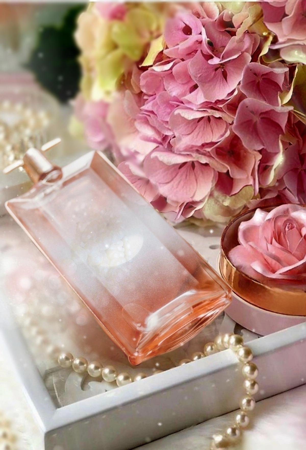 عطر ادکلن ایدول نو لنکوم - Idôle Now Lancôme - بررسی، قیمت و خرید