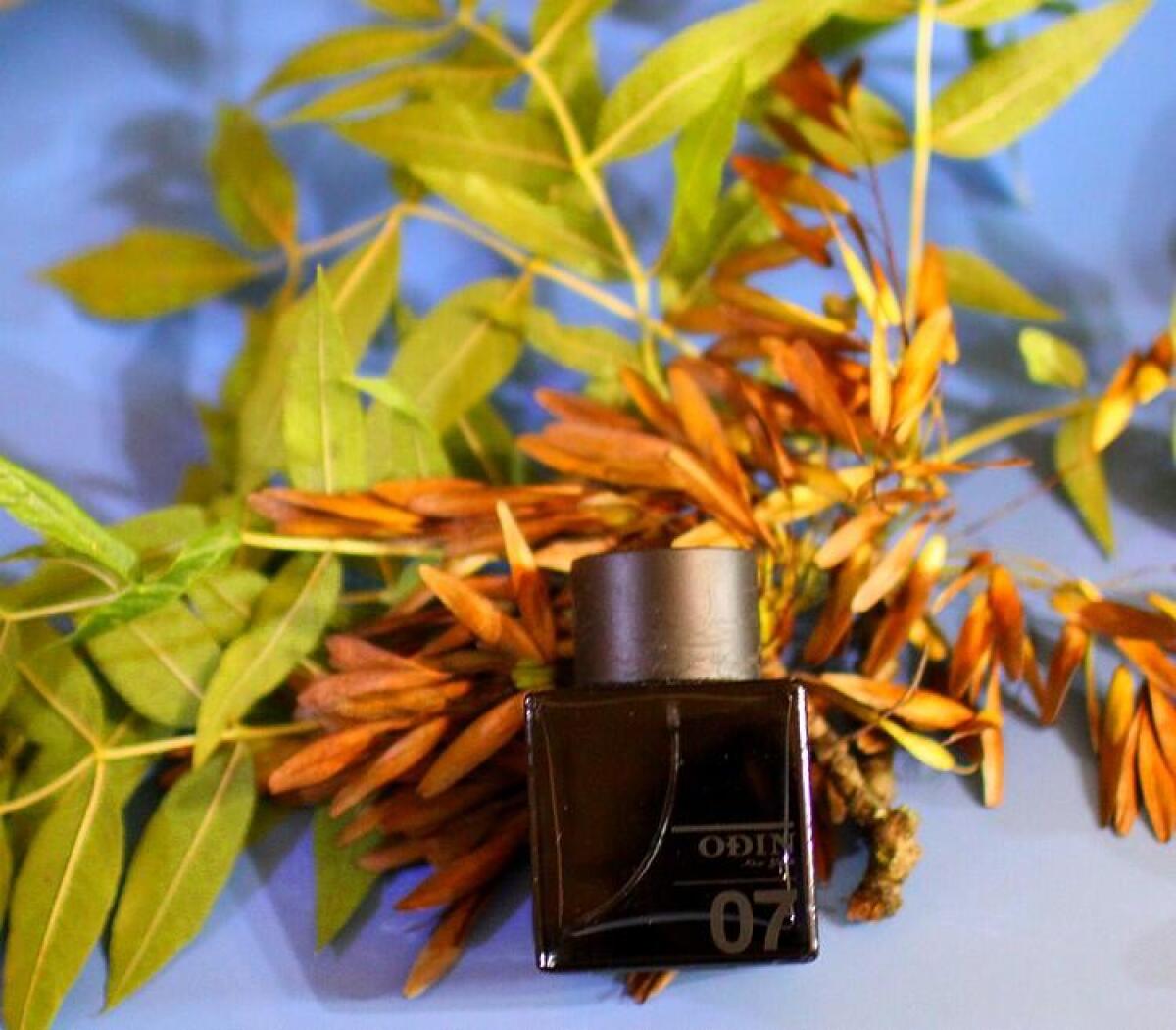 عطر ادکلن ۰۷ تنوک اودین - 07 Tanoke Odin - بررسی، قیمت و خرید