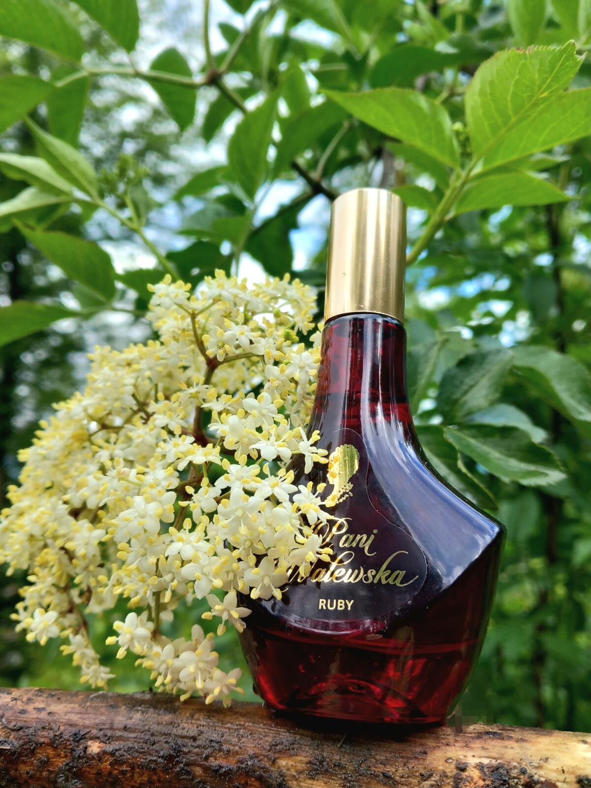 عطر ادکلن پانی والفسکا شیک میراکلوم - Pani Walewska Chic Miraculum - بررسی، قیمت و خرید
