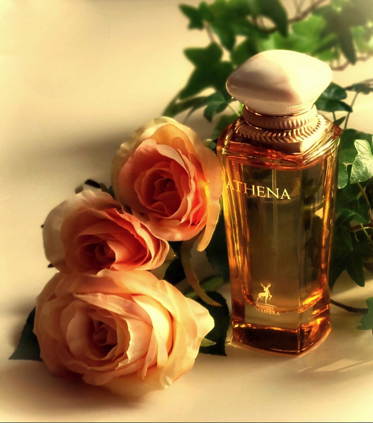عطر ادکلن آتنا میزون الهمبرا - Athena Maison Alhambra - بررسی، قیمت و خرید