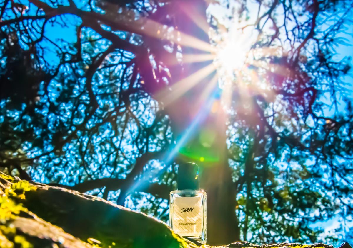 عطر ادکلن سان لاش - Sun Lush - بررسی، قیمت و خرید