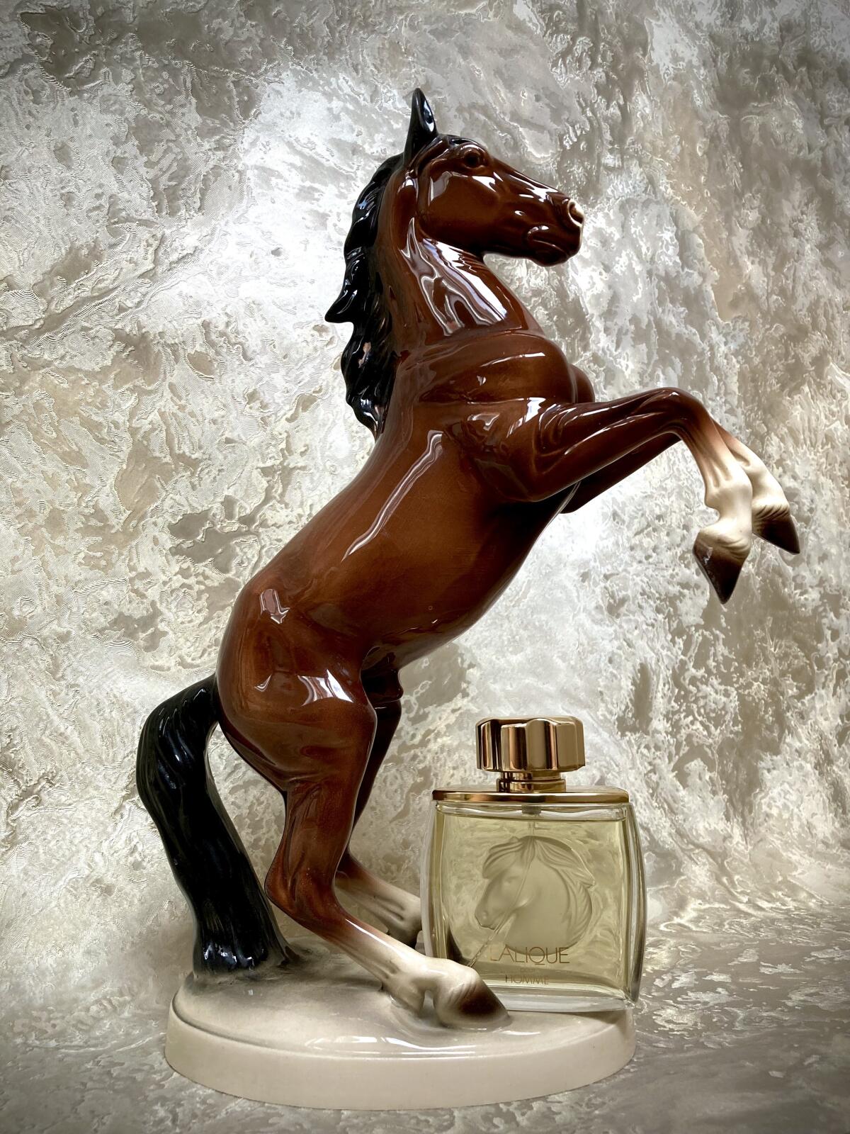 عطر ادکلن لالیک پور هوم اکوس لالیک - Lalique Pour Homme Equus Lalique - بررسی، قیمت و خرید