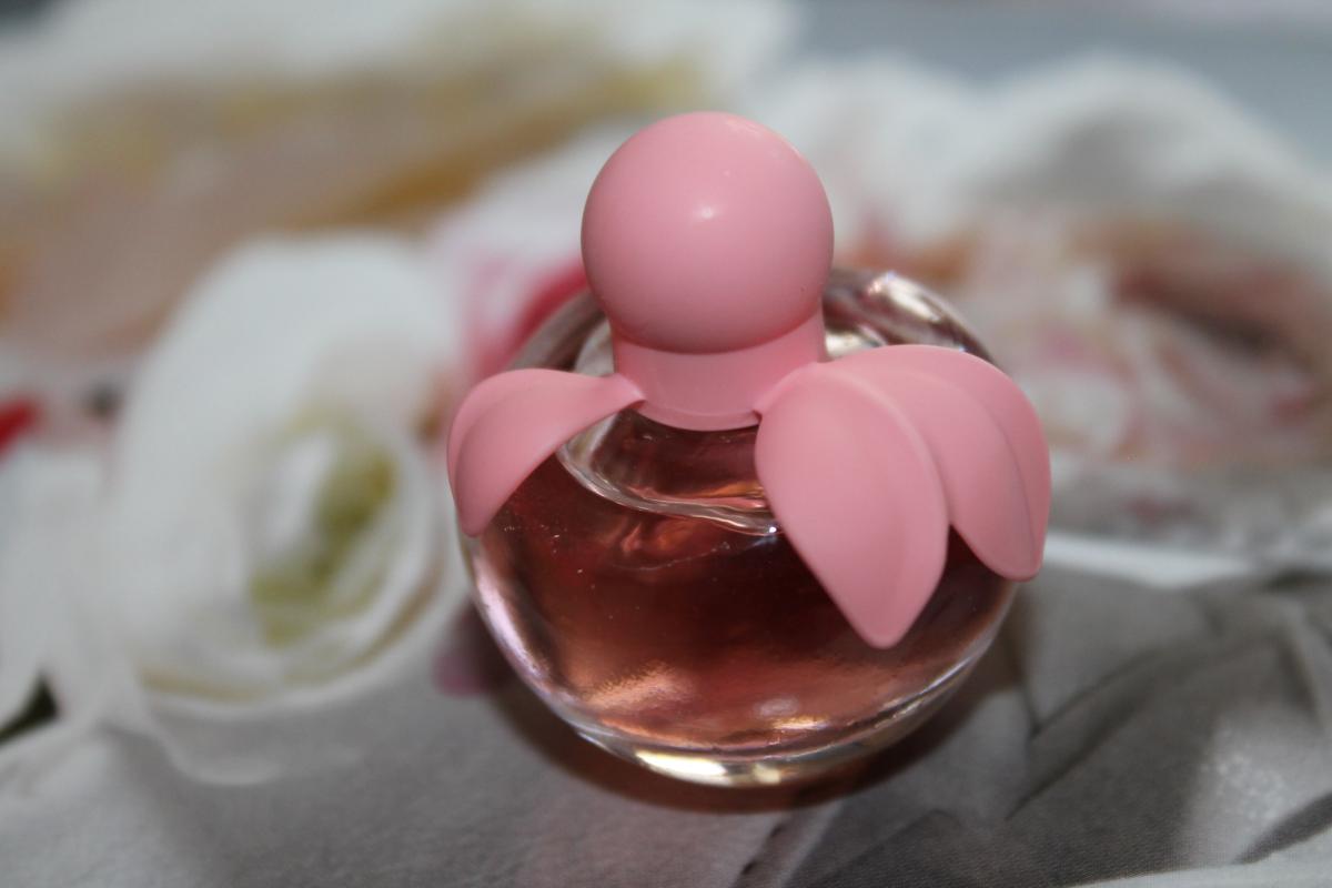 عطر ادکلن نینا رز نینا ریچی - Nina Rose Nina Ricci - بررسی، قیمت و خرید