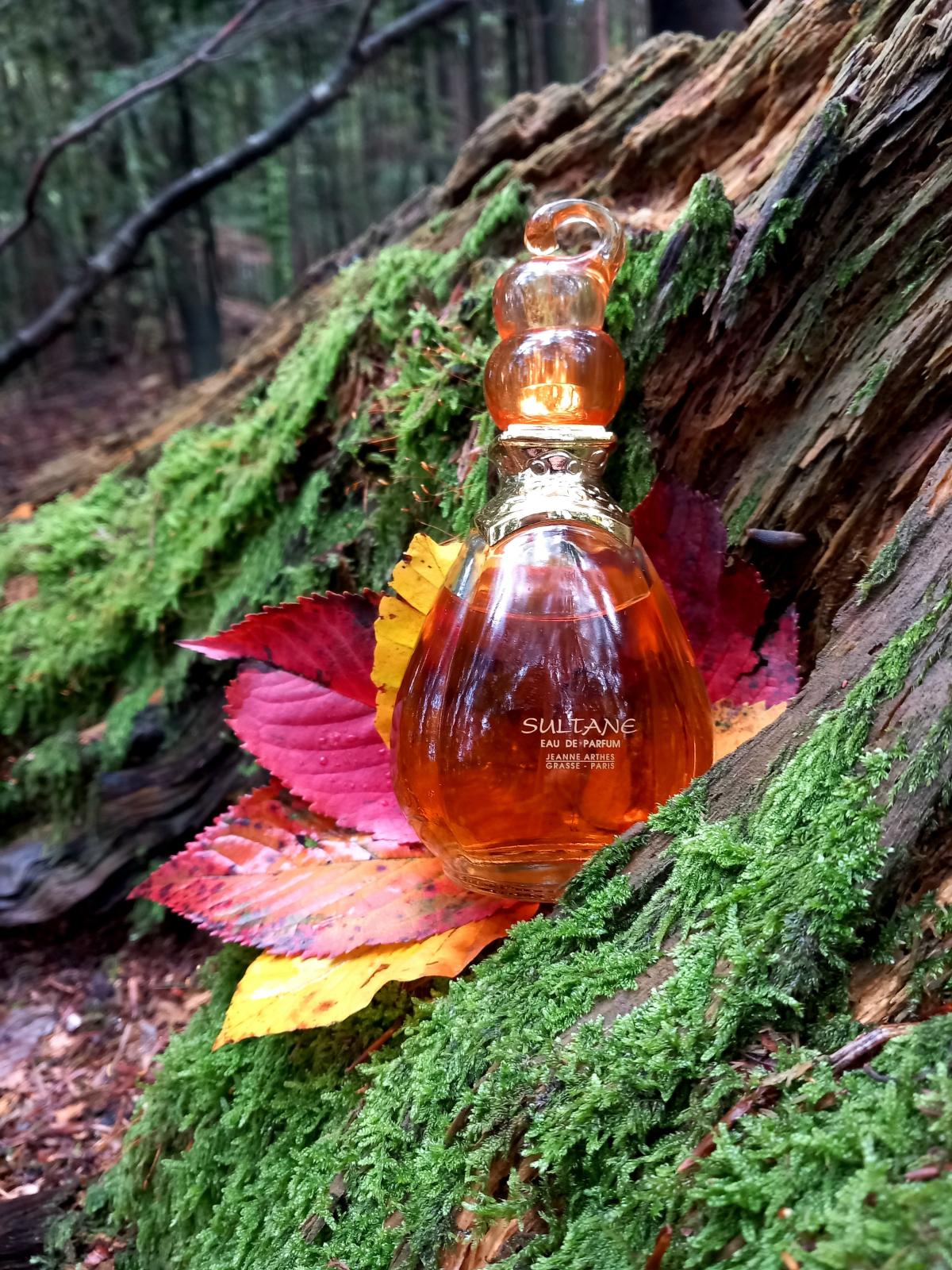 عطر ادکلن سلطان ژان آرته‌س - Sultane Jeanne Arthes - بررسی، قیمت و خرید