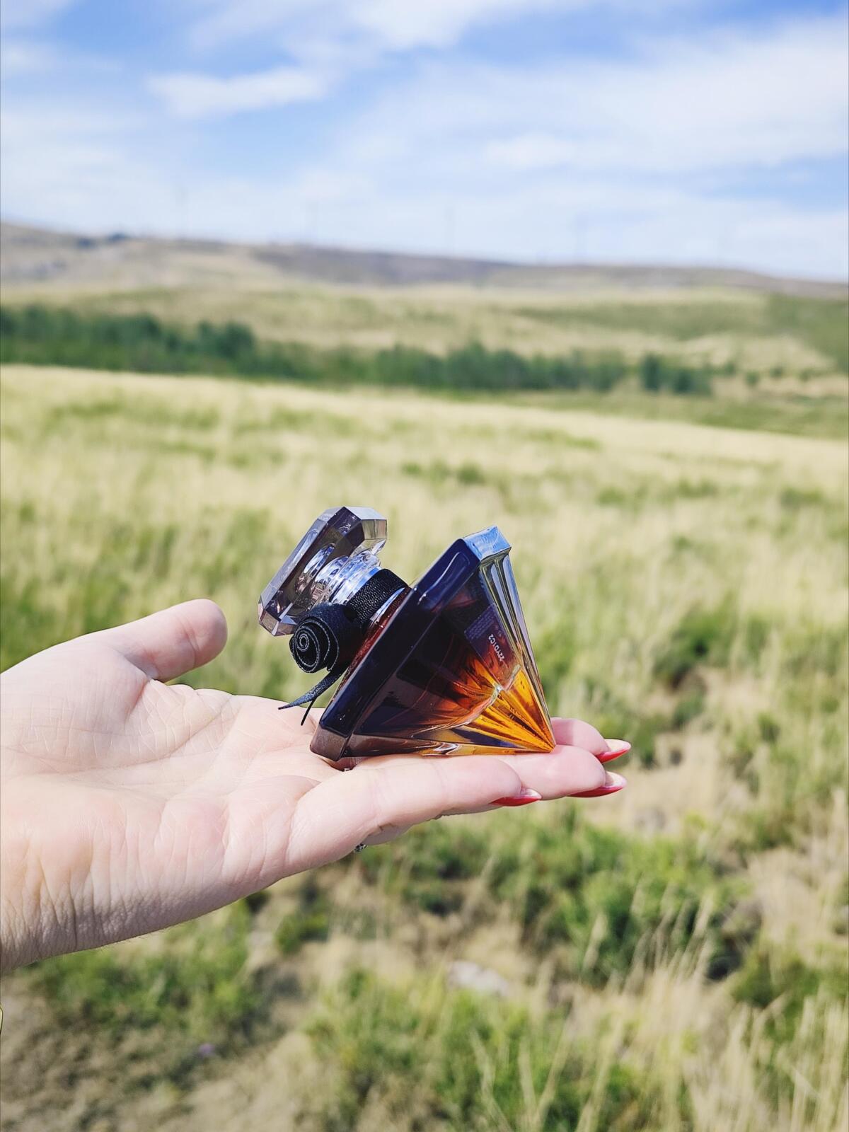 عطر ادکلن لا نویی ترزور وانیل نوآر لانکوم - La Nuit Trésor Vanille Noire Lancôme - بررسی، قیمت و خرید