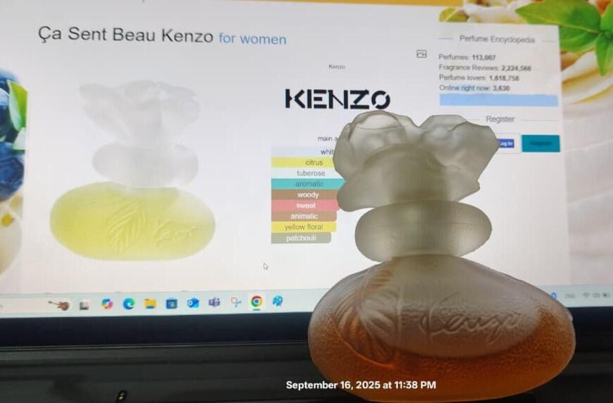 عطر ادکلن سا سن بو کنزو - Ça Sent Beau Kenzo - بررسی، قیمت و خرید