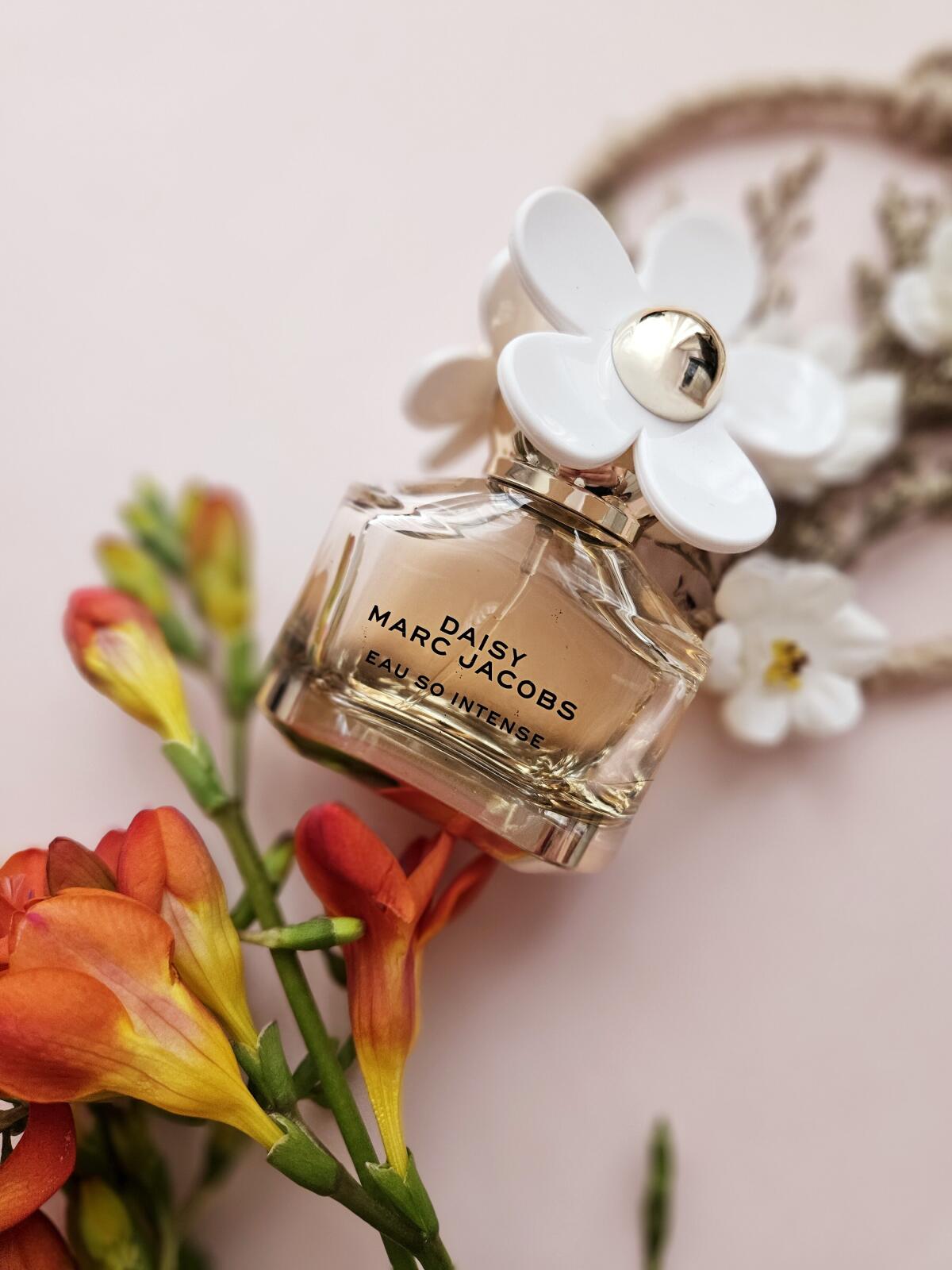 عطر ادکلن دیزی او سو اینتنس مارک جیکوبز - Daisy Eau So Intense Marc Jacobs - بررسی، قیمت و خرید