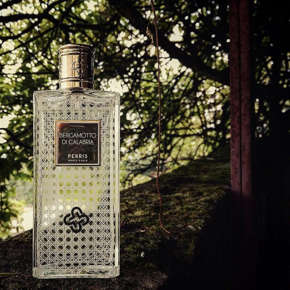 عطر ادکلن برگاموتو دی کالابریا پریس مانته کارلو - Bergamotto di Calabria Perris Monte Carlo - بررسی، قیمت و خرید