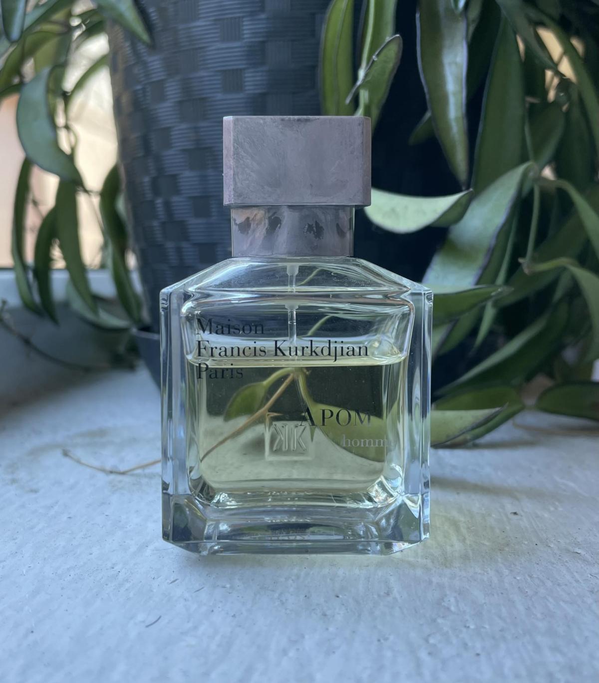عطر ادکلن ای پوم پور هوم میزون فرانسیس کورکجان - APOM Pour Homme Maison Francis Kurkdjian - بررسی، قیمت و خرید