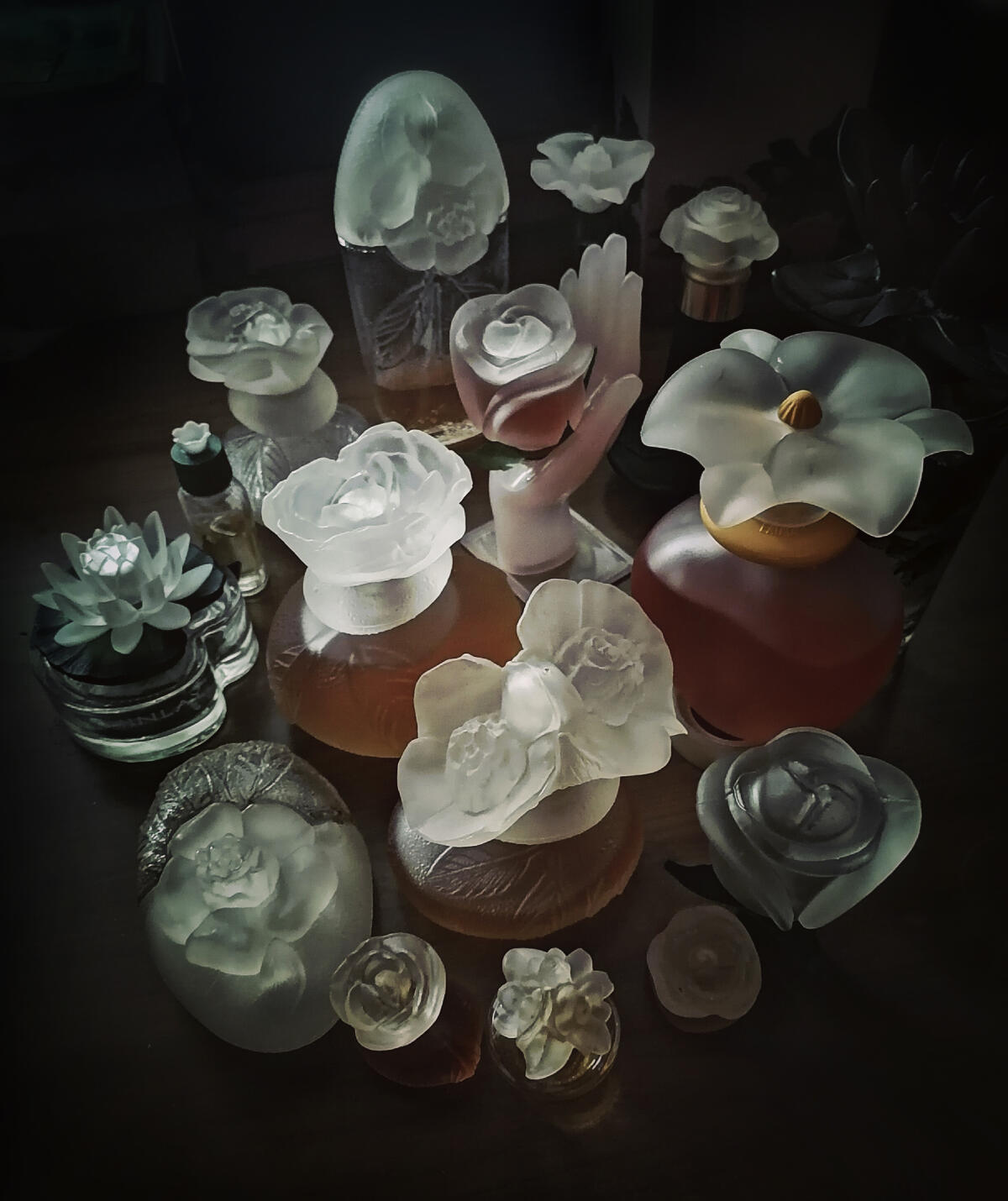 عطر ادکلن هینلی پور فم لورلیان - Hinlay pour Femme Lorelyane - بررسی، قیمت و خرید