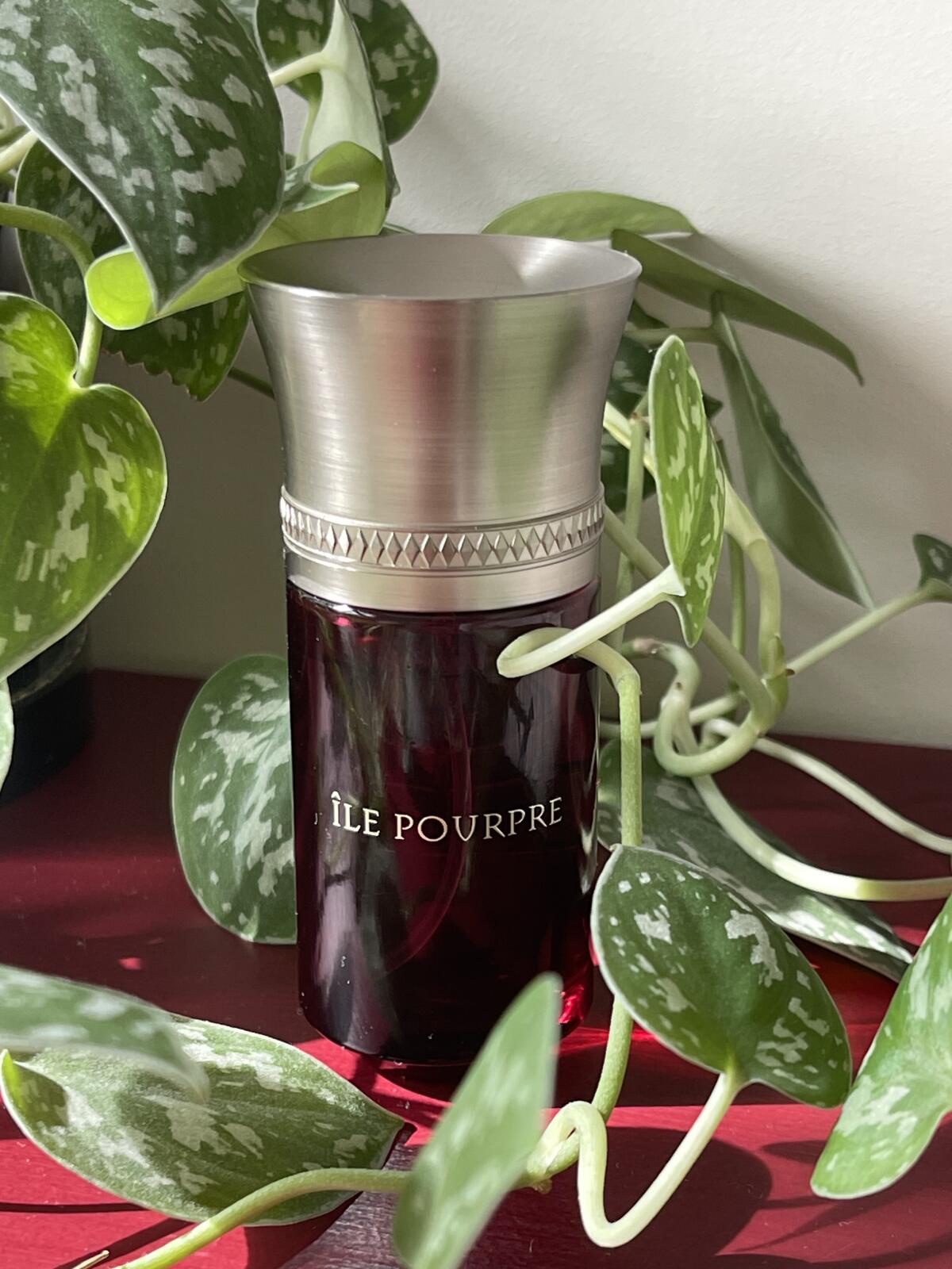عطر ادکلن لیل پوغپغ لز لیکوید ایمجینر - L’Ile Pourpre Les Liquides Imaginaires - بررسی، قیمت و خرید