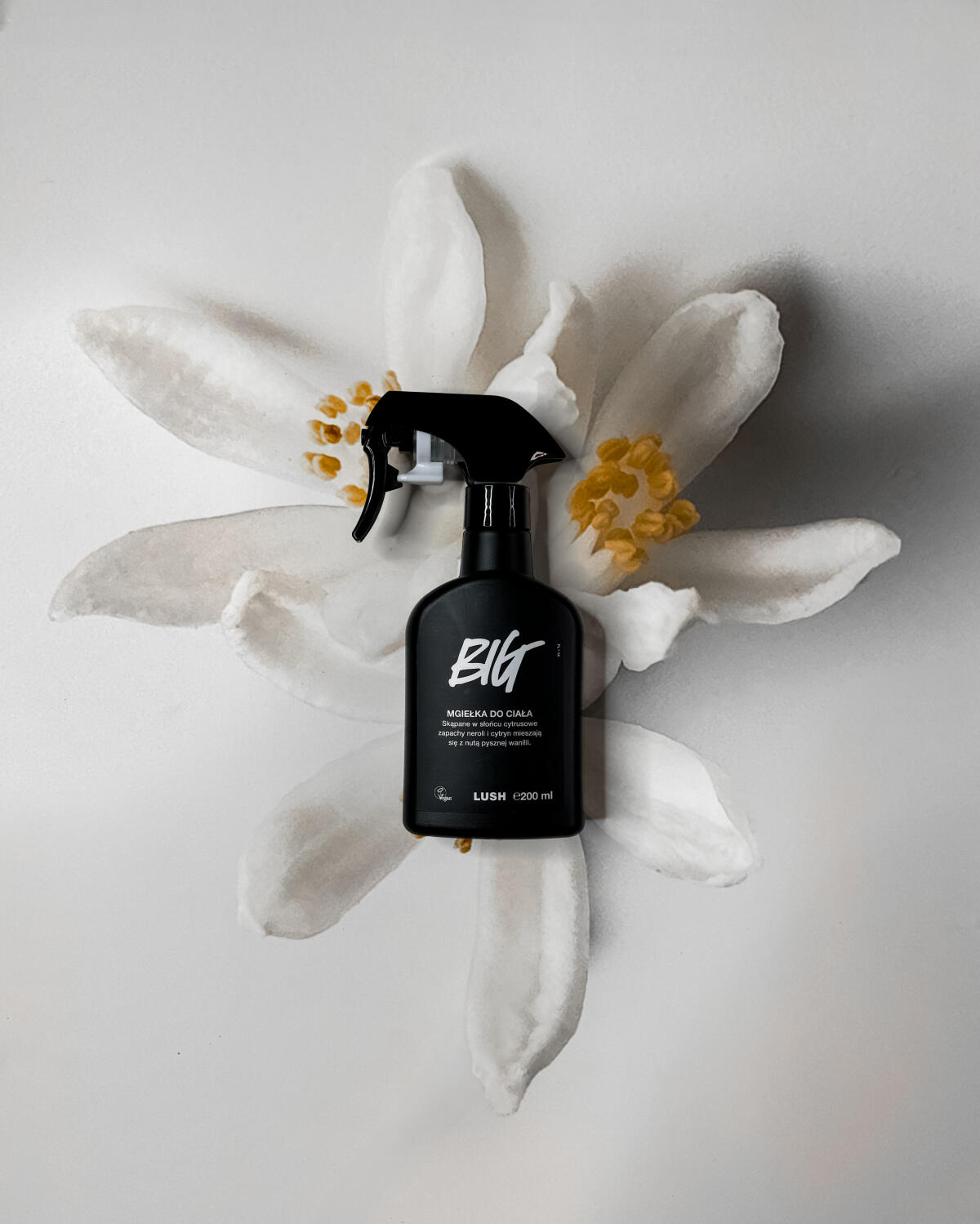 عطر ادکلن بیش لاش - Big Lush - بررسی، قیمت و خرید