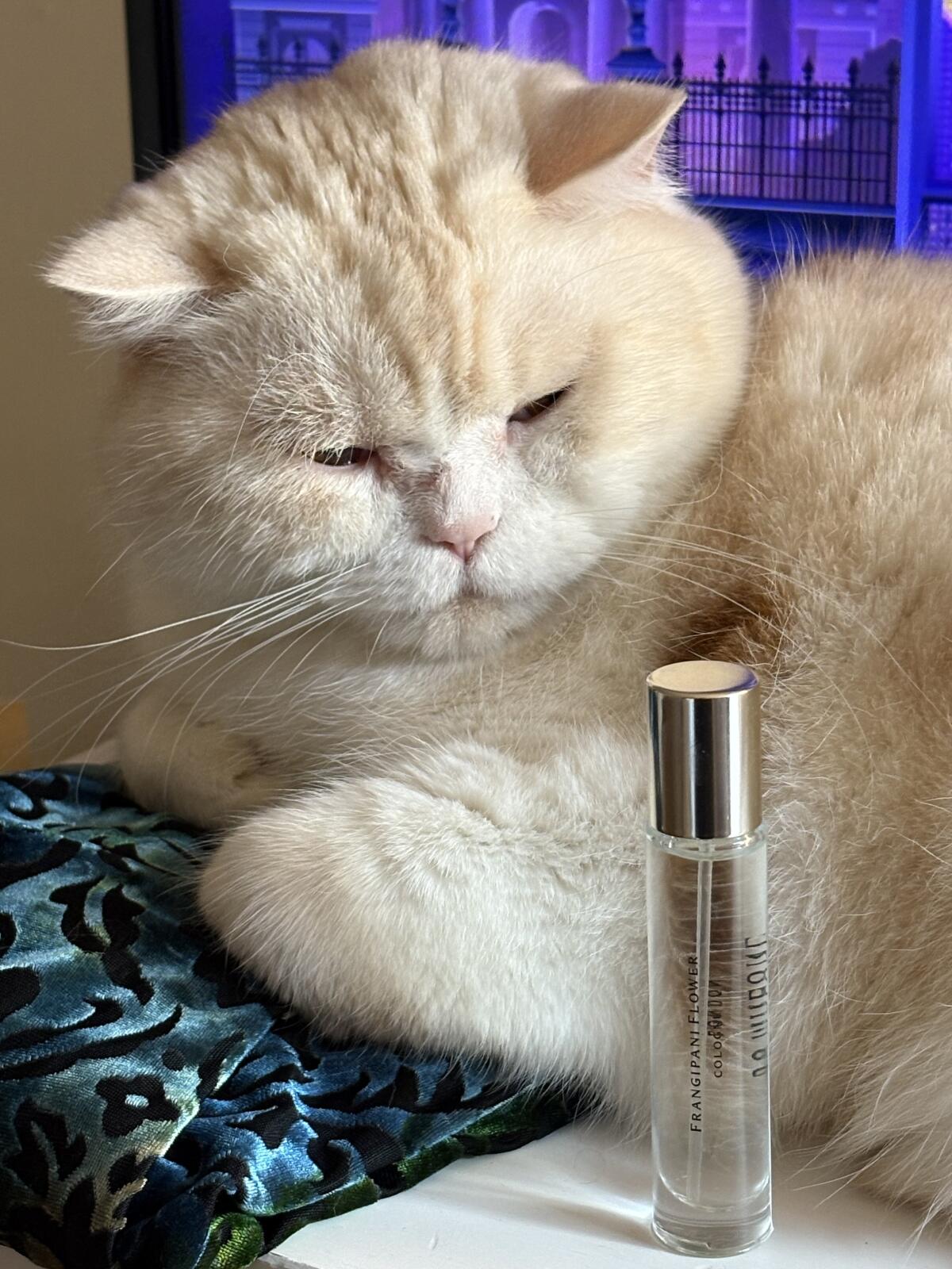 عطر ادکلن فرانجیپانی فلاور جو مالون لندن - Frangipani Flower Jo Malone London - بررسی، قیمت و خرید