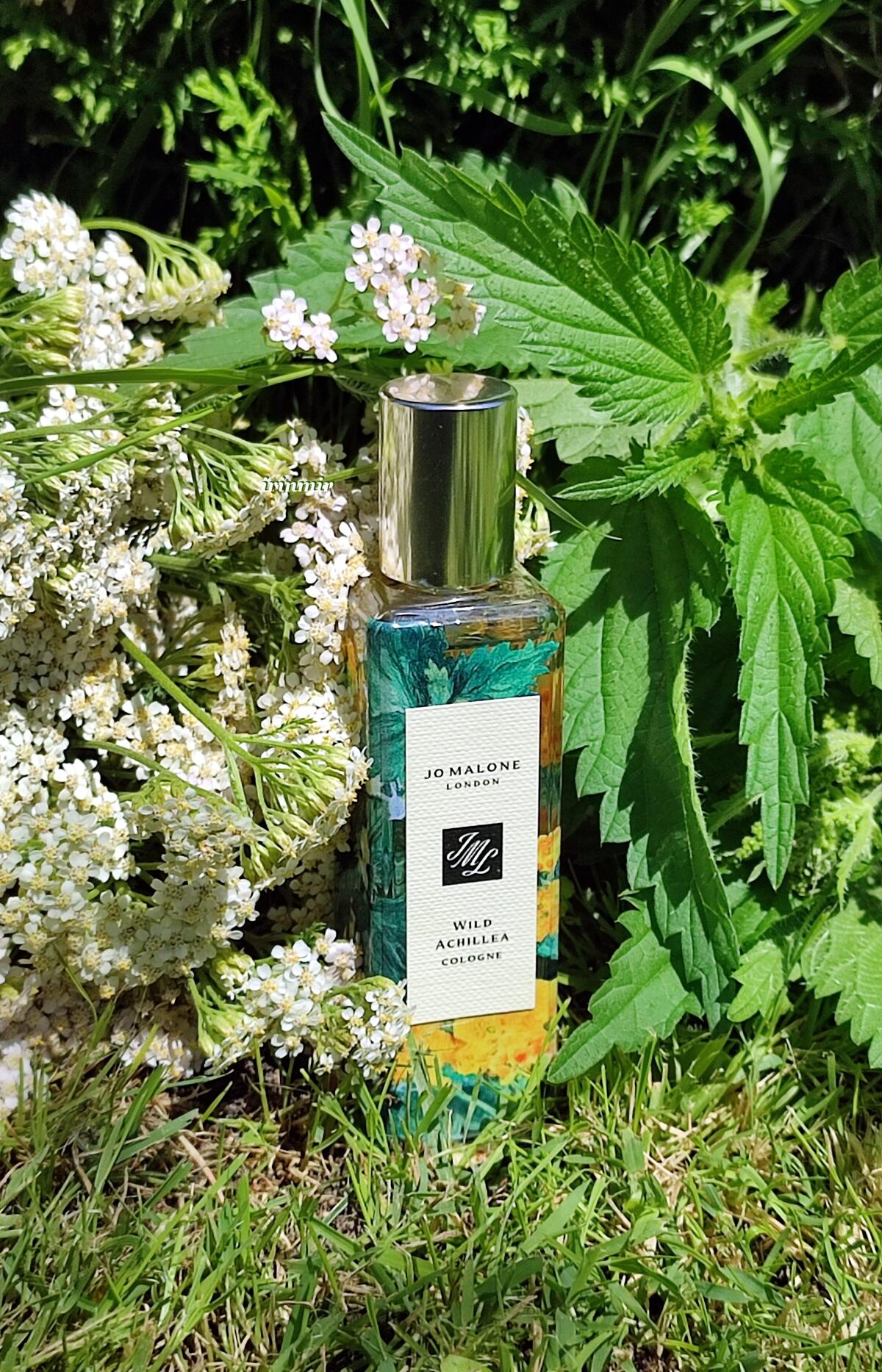 عطر ادکلن وایلد آکیلا جو مالون لندن - Wild Achillea Jo Malone London - بررسی، قیمت و خرید