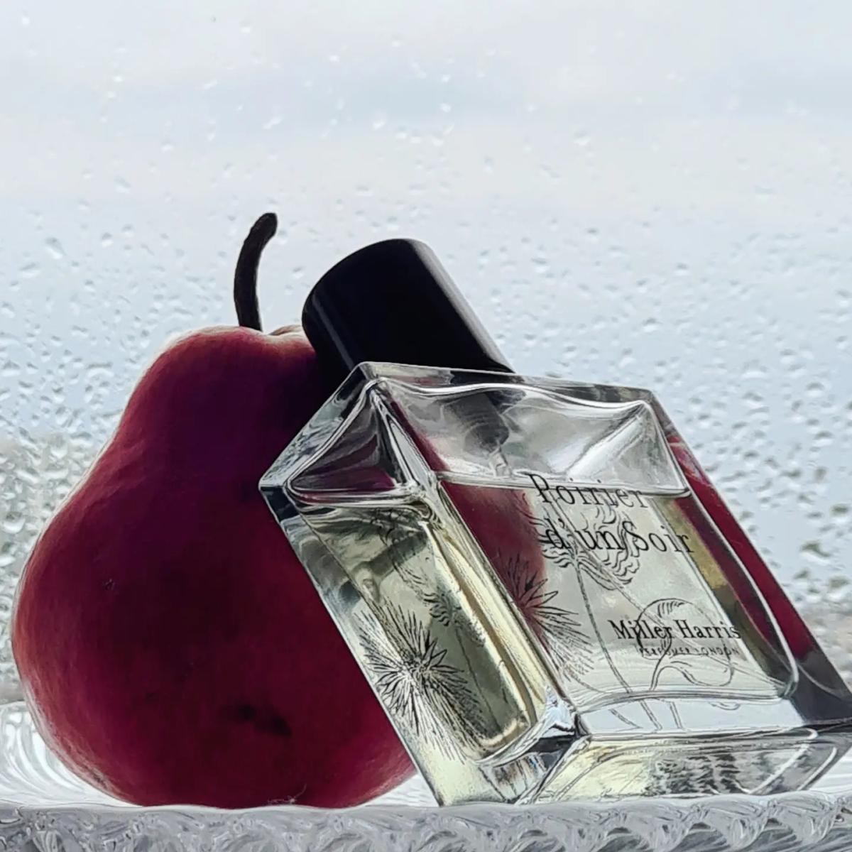 عطر ادکلن پوریه دون سوار میلهریس - Poirier d'un Soir Miller Harris - بررسی، قیمت و خرید