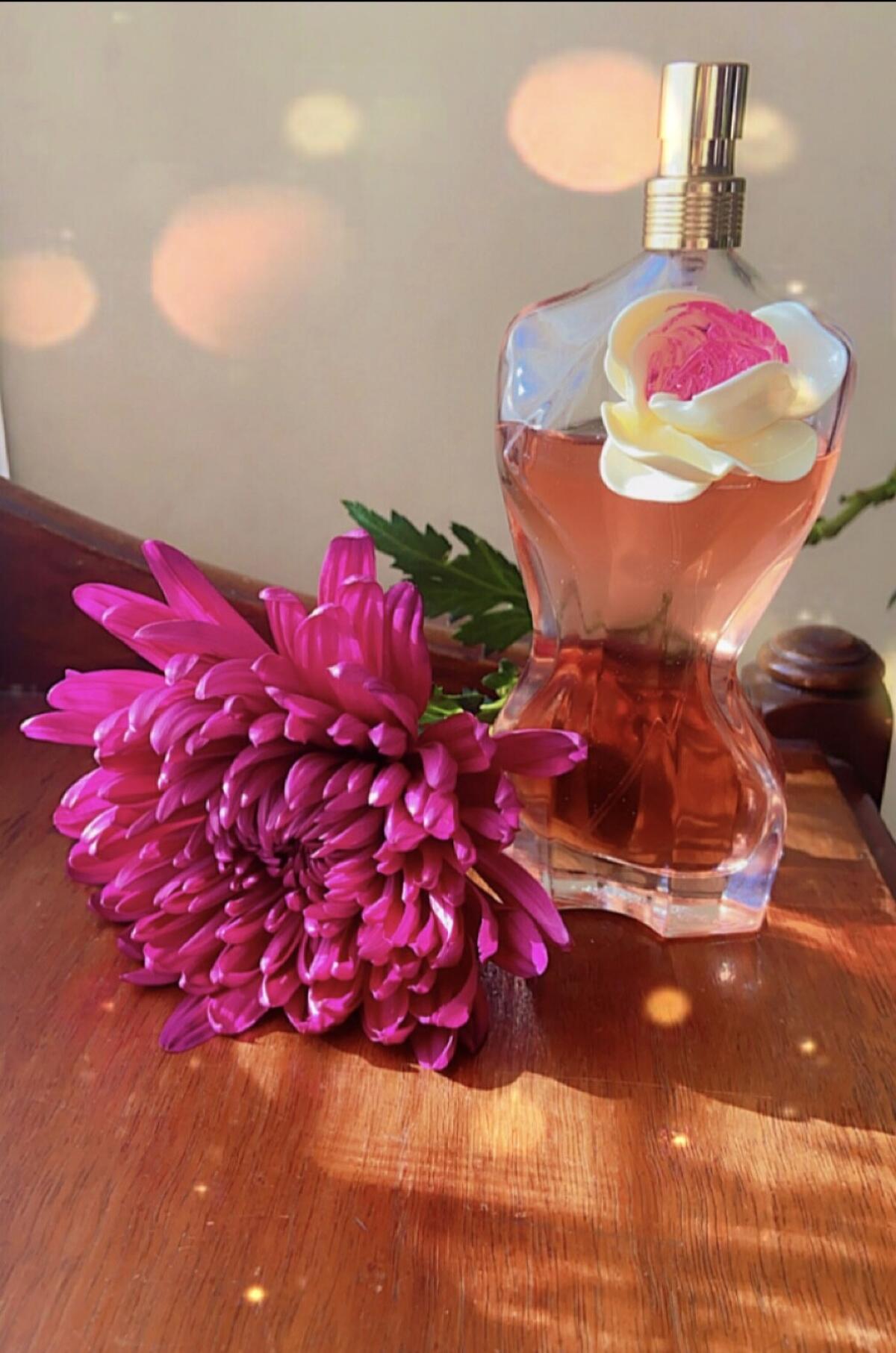 عطر ادکلن لا بل فلاور ادیشن ژان پل گوتیه - La Belle Flower Edition Jean Paul Gaultier - بررسی، قیمت و خرید