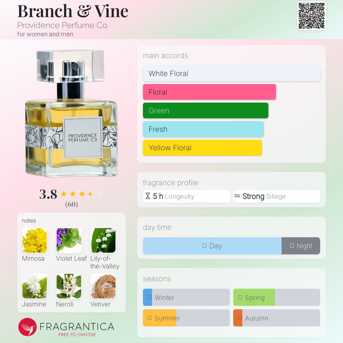 عطر ادکلن برانچ اند واین پروویدنس پرفیوم کو - Branch & Vine Providence Perfume Co. - بررسی، قیمت و خرید