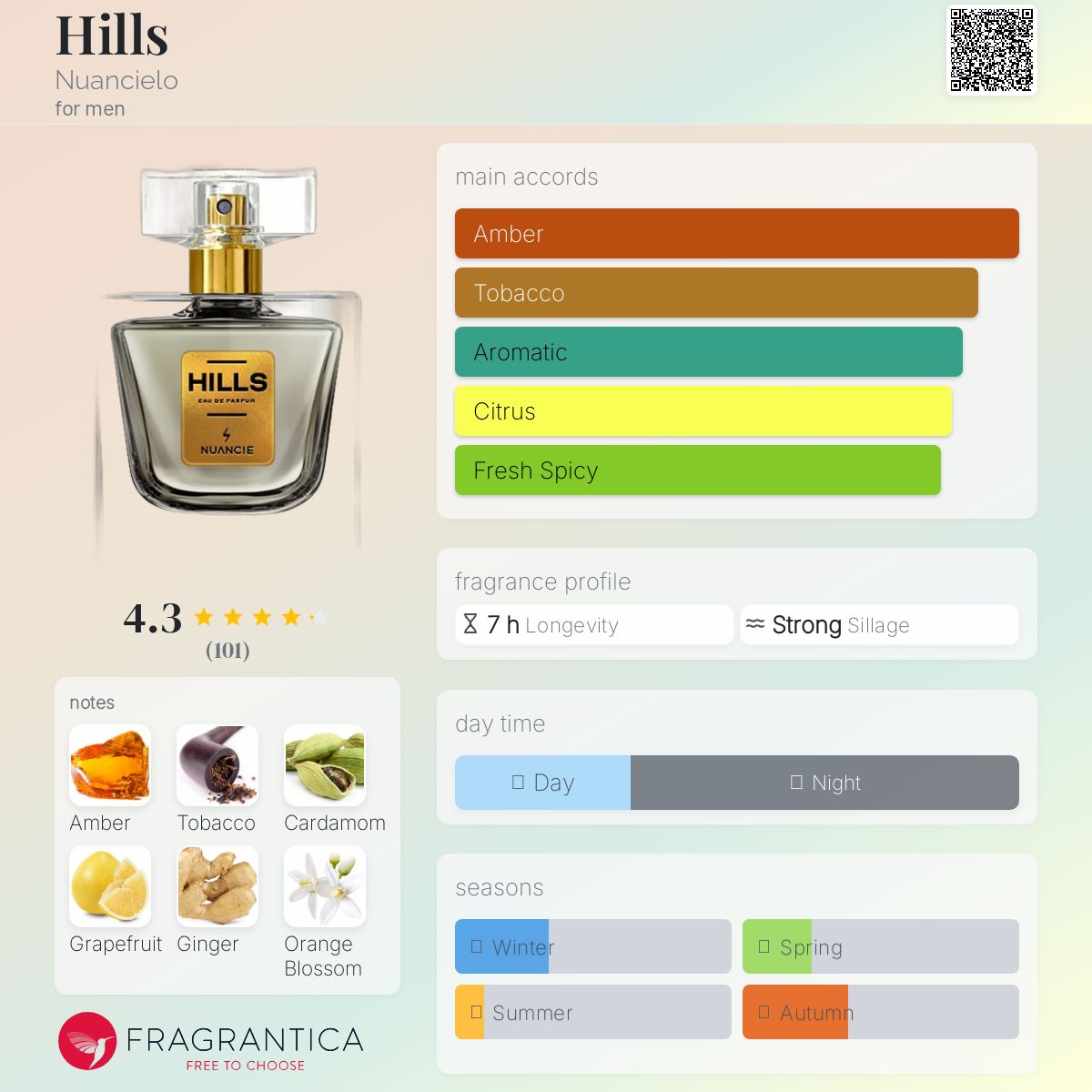 عطر ادکلن هِیلز نوانسیلو - Hills Nuancielo - بررسی، قیمت و خرید