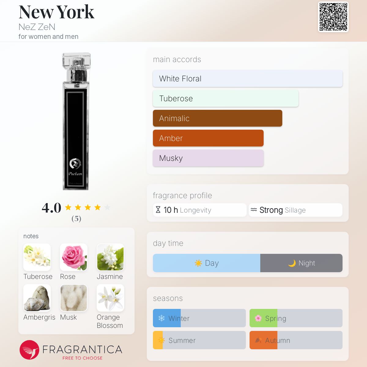 عطر ادکلن نیویورک نز زن - New York NeZ ZeN - بررسی، قیمت و خرید