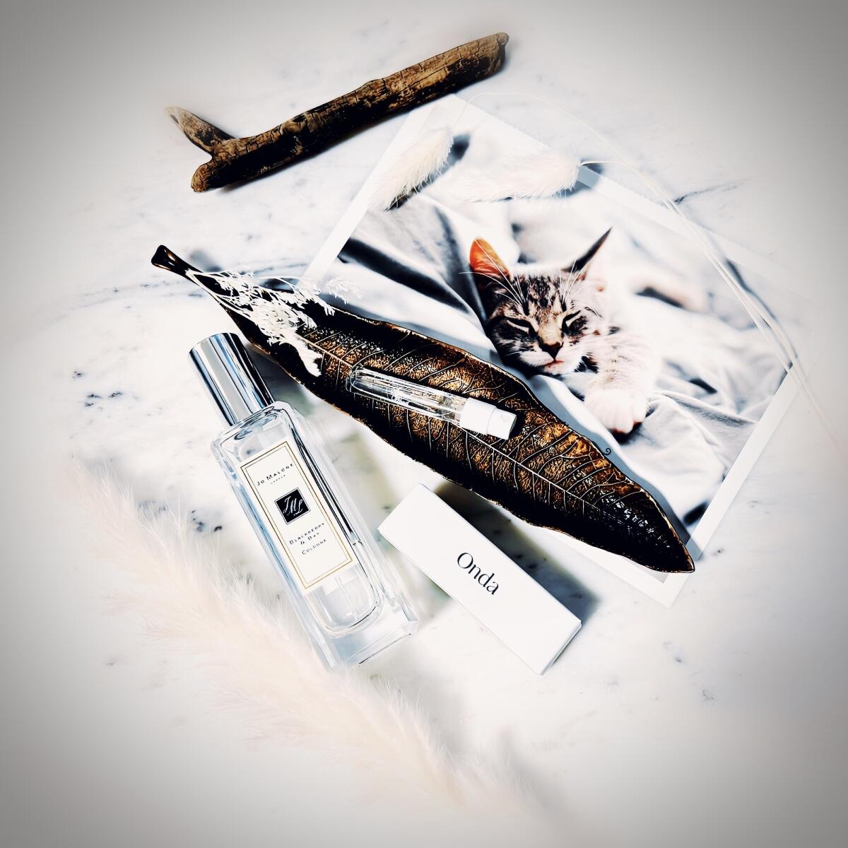 عطر ادکلن بلکبری اند بِی جو مالون لندن - Blackberry & Bay Jo Malone London - بررسی، قیمت و خرید