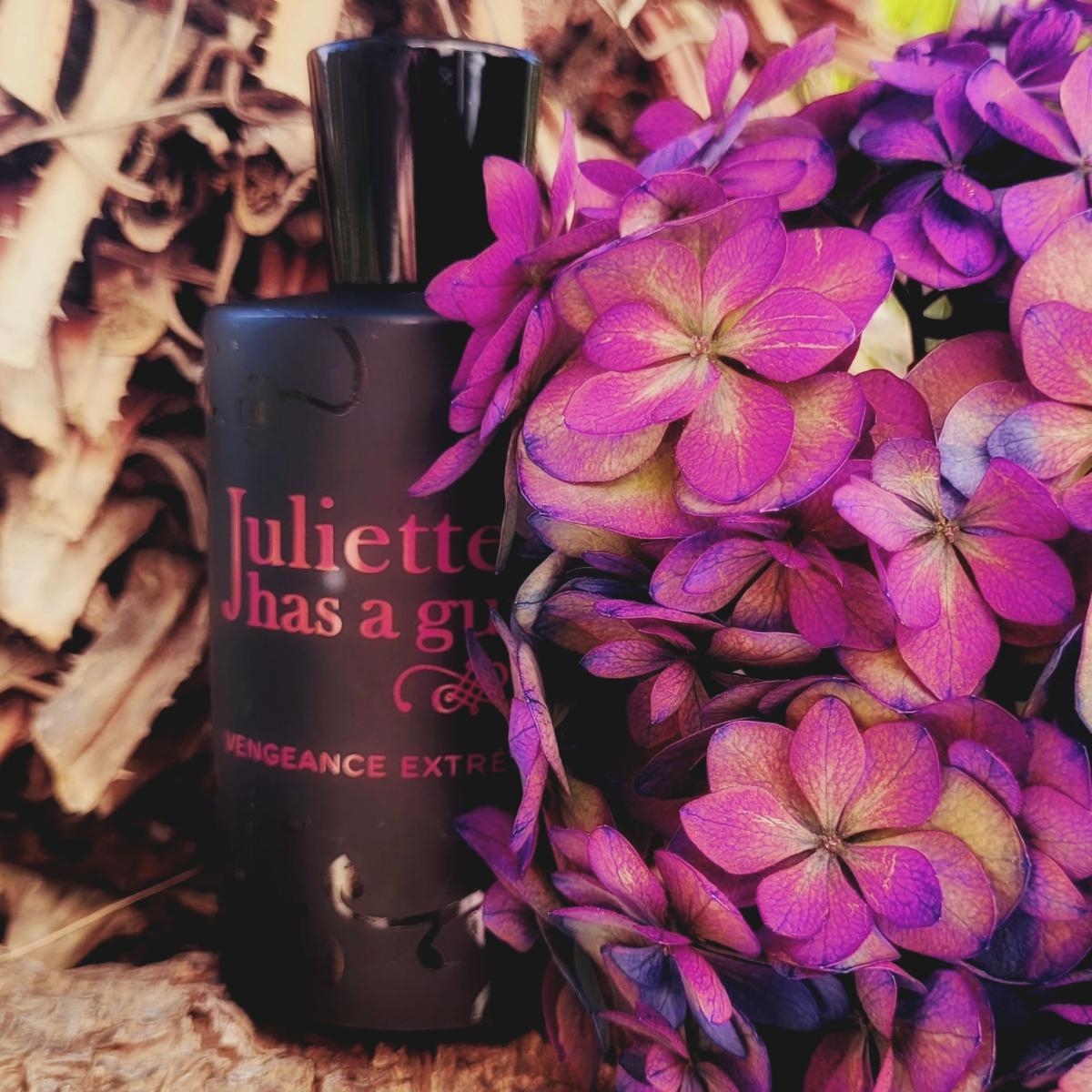 عطر ادکلن ونجنس اکستریم جولیت هز ا گان - Vengeance Extreme Juliette Has A Gun - بررسی، قیمت و خرید