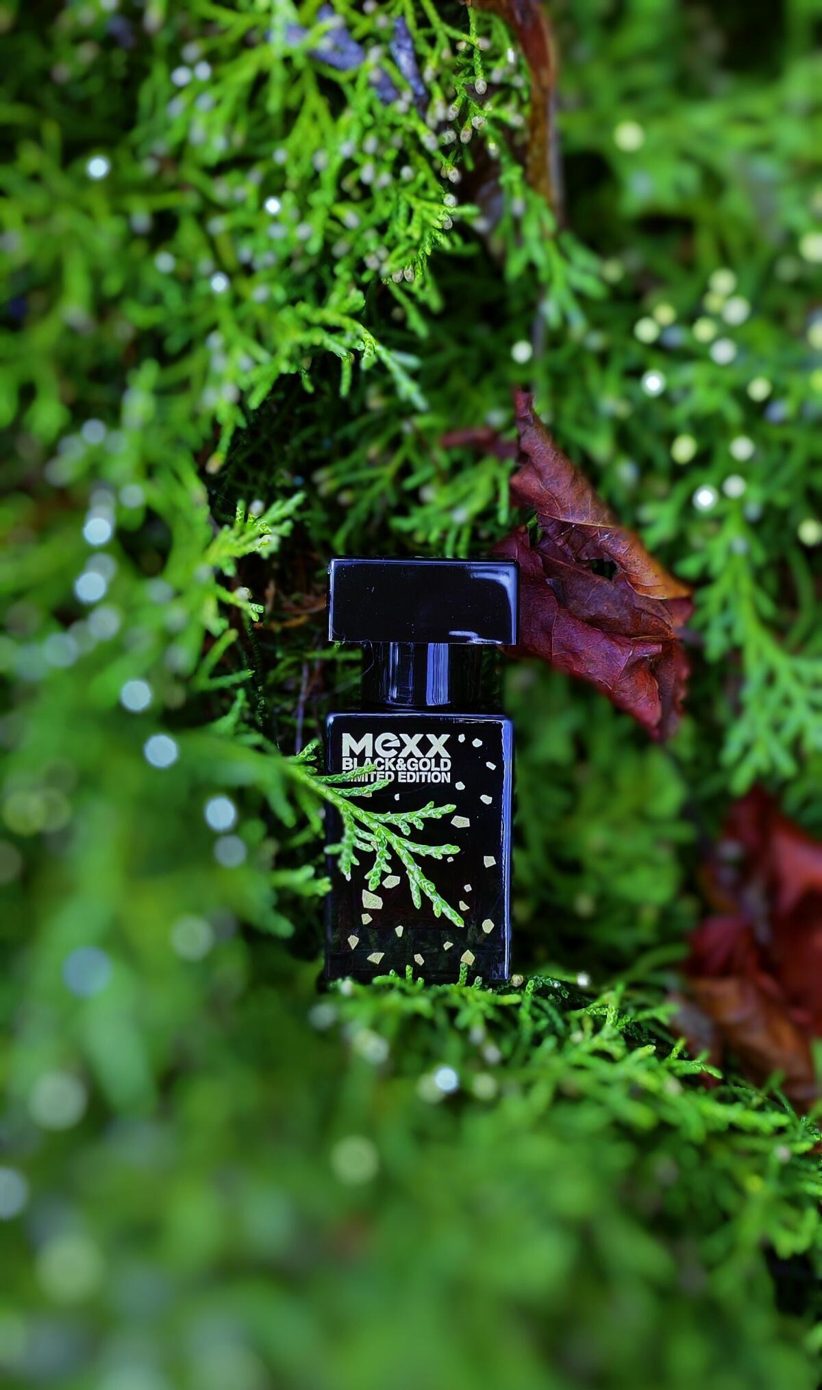 عطر ادکلن مکس بلک فور هر مکس - Mexx Black for Her Mexx - بررسی، قیمت و خرید