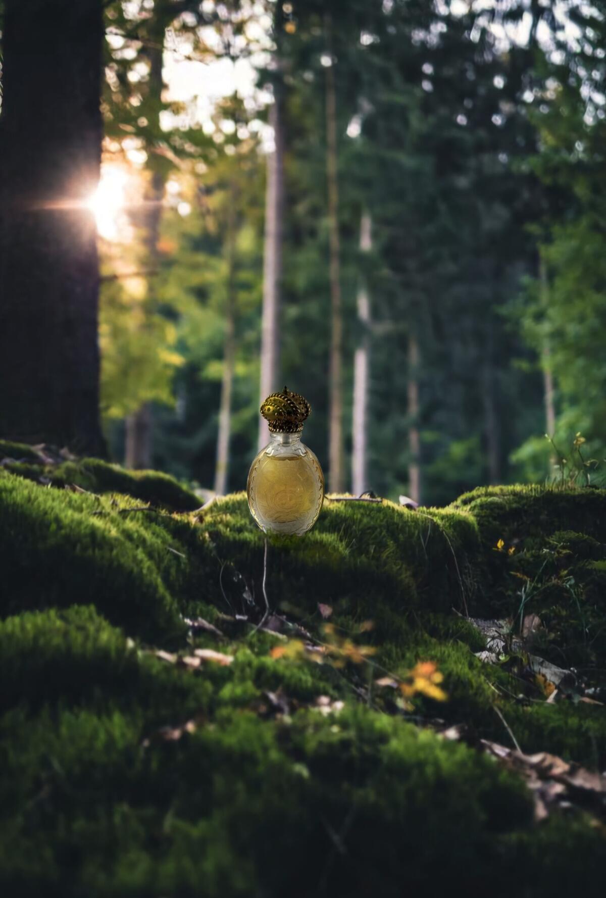 عطر ادکلن کوتور کوتور جویسی کوتور - Couture Couture Juicy Couture - بررسی، قیمت و خرید