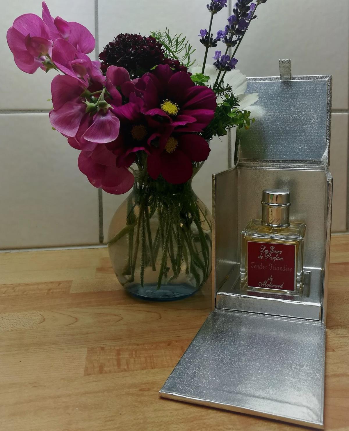 عطر ادکلن تاندر فریاندیز مولینارد - Tendre Friandise Molinard - بررسی، قیمت و خرید