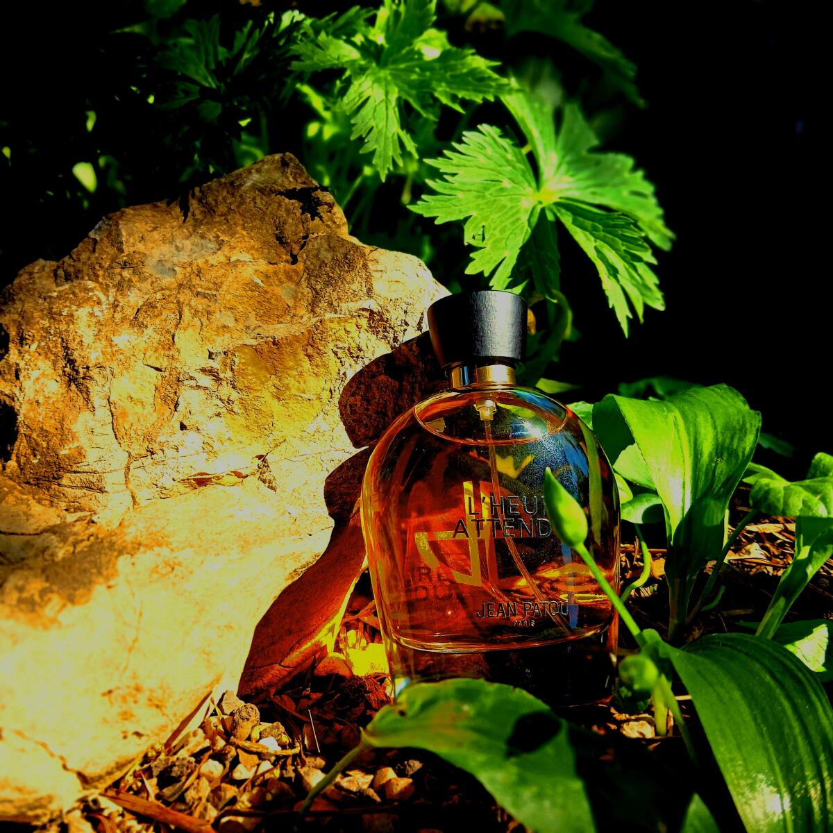 عطر ادکلن کالکشن هریتج لهر اتاندو ژان پاتو - Collection Heritage L'Heure Attendue Jean Patou - بررسی، قیمت و خرید