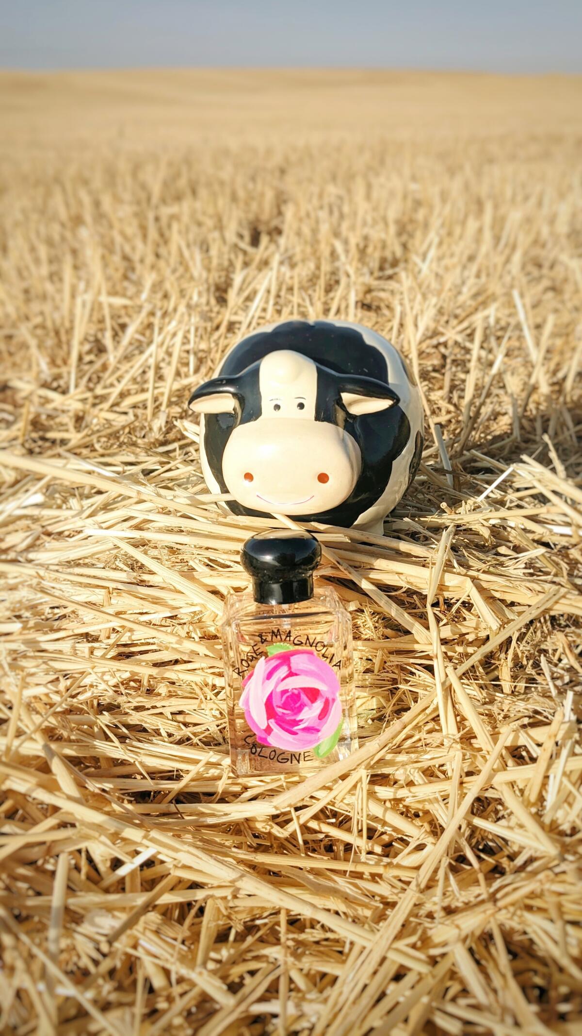 عطر ادکلن رز اند مگنولیا کلون ۲۰۲۴ جو مالون لندن - Rose & Magnolia Cologne 2024 Jo Malone London - بررسی، قیمت و خرید