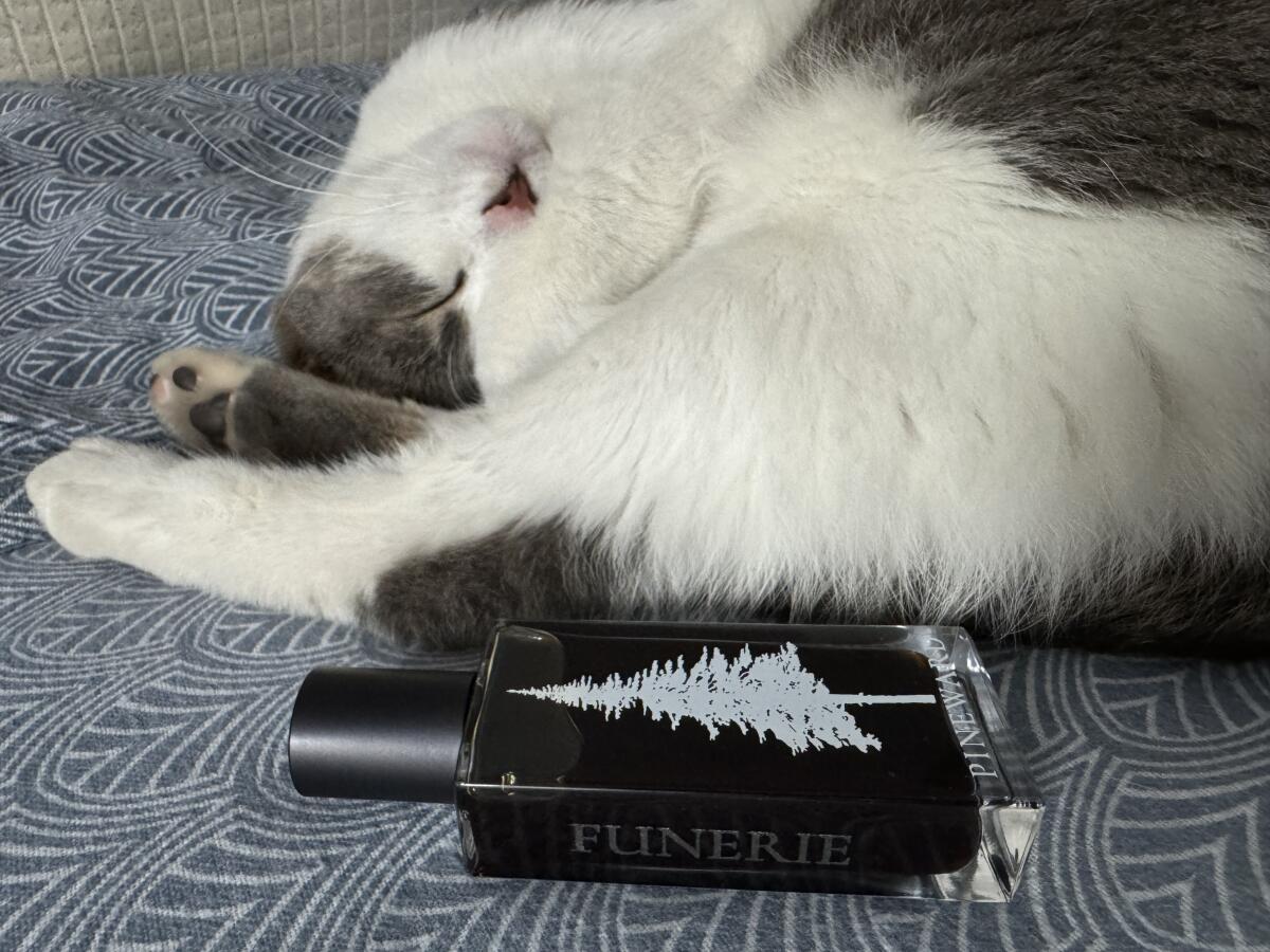 عطر ادکلن فانری این‌وارد پرفیومز - Funerie Pineward Perfumes - بررسی، قیمت و خرید