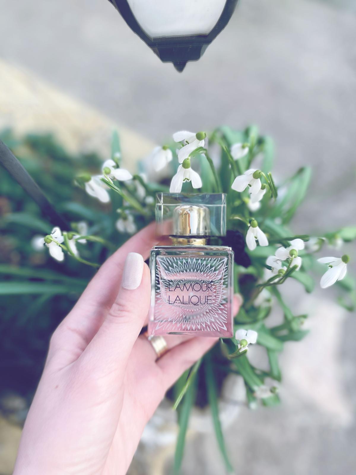 عطر ادکلن لامور لالیک - L'Amour Lalique - بررسی، قیمت و خرید
