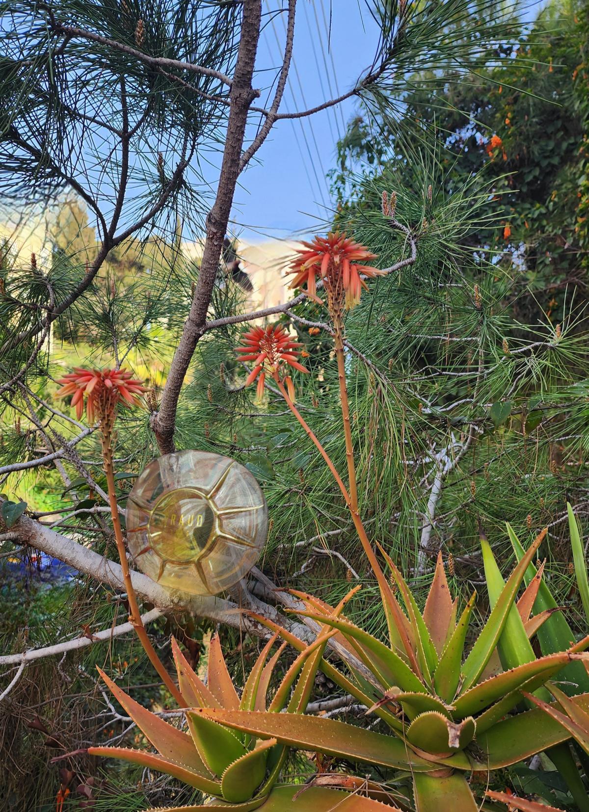 عطر ادکلن لویی فرود لویی فرود - Louis Feraud Louis Feraud - بررسی، قیمت و خرید