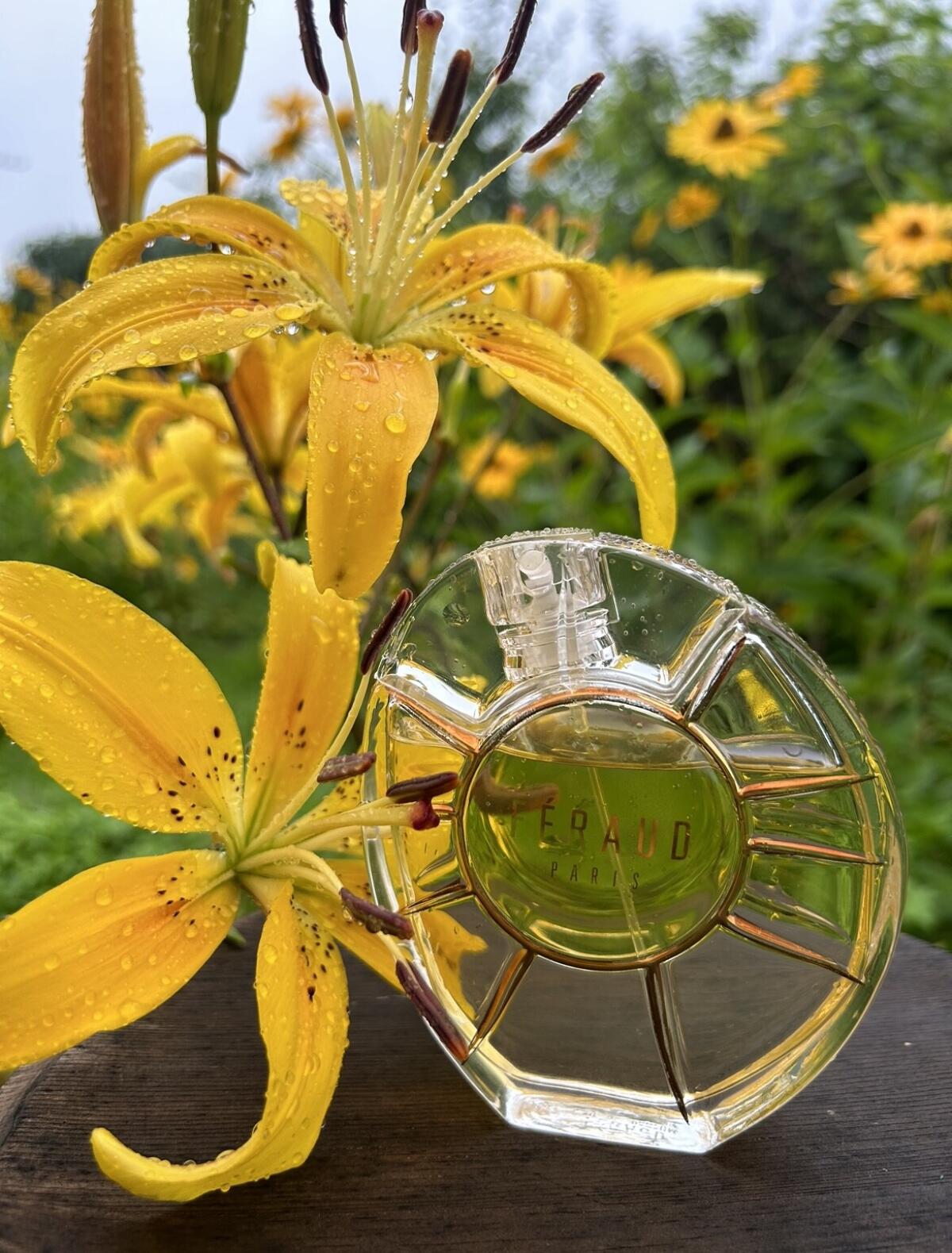 عطر ادکلن لویی فرود لویی فرود - Louis Feraud Louis Feraud - بررسی، قیمت و خرید