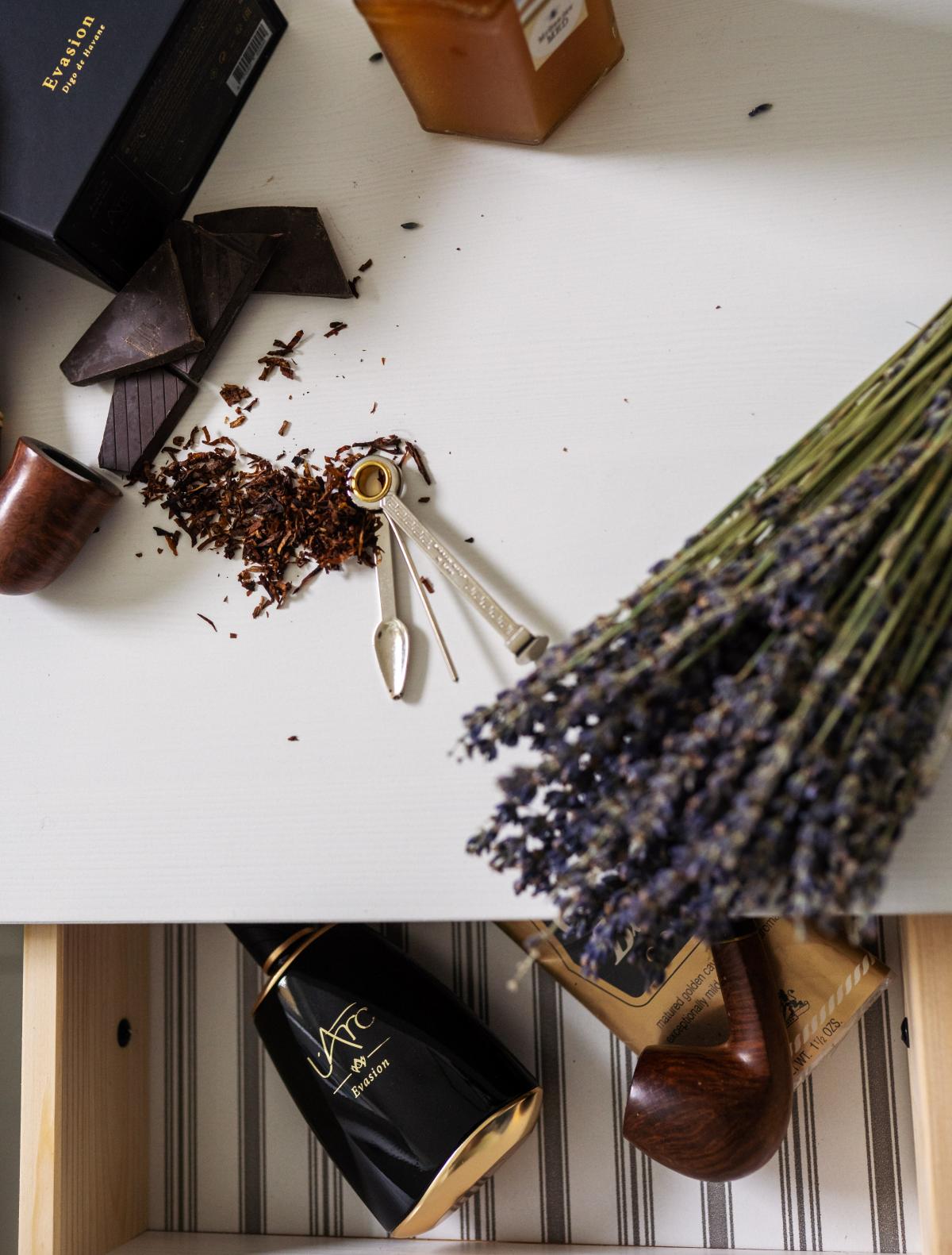 عطر ادکلن ایویژن دگو دو هاوان لارک - Evasion Digo de Havane L'Arc - بررسی، قیمت و خرید