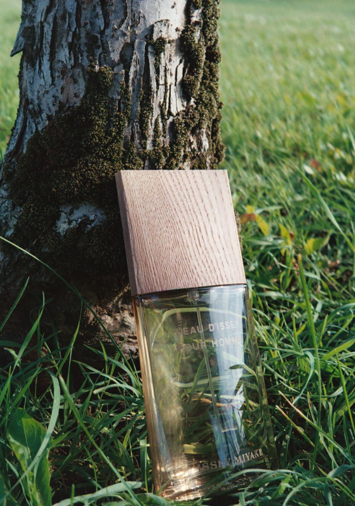 عطر ادکلن له اودیسه پور هوم وتیور ایسه میاکه - L’Eau d’Issey pour Homme Vetiver Issey Miyake - بررسی، قیمت و خرید