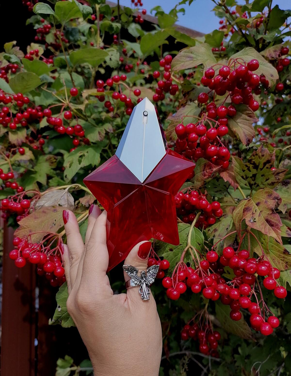 عطر ادکلن انجل پشن استار موگلر - Angel Passion Star Mugler - بررسی، قیمت و خرید