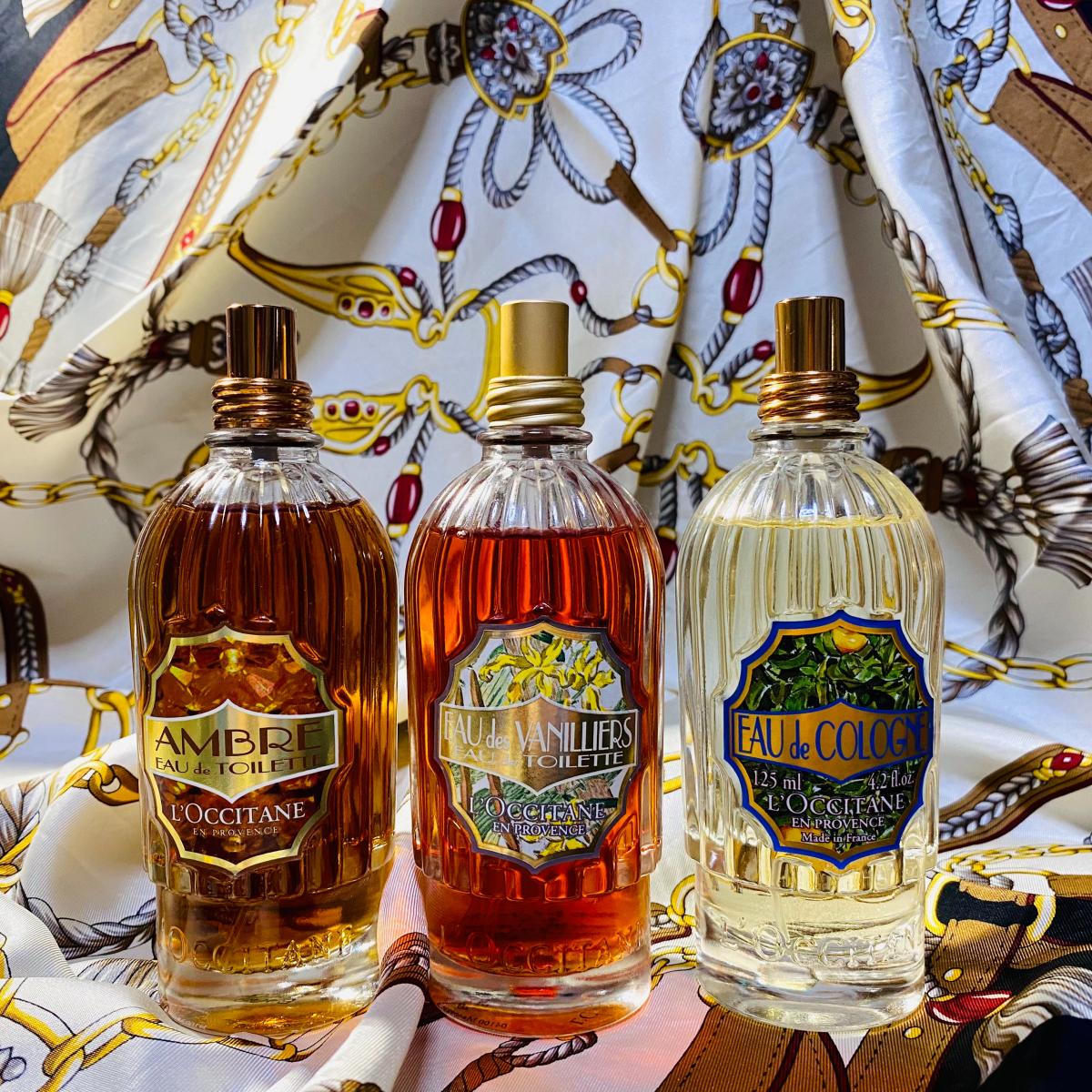 عطر ادکلن آمبره لوکسیتان ان پرووانس - Ambre L'Occitane en Provence - بررسی، قیمت و خرید