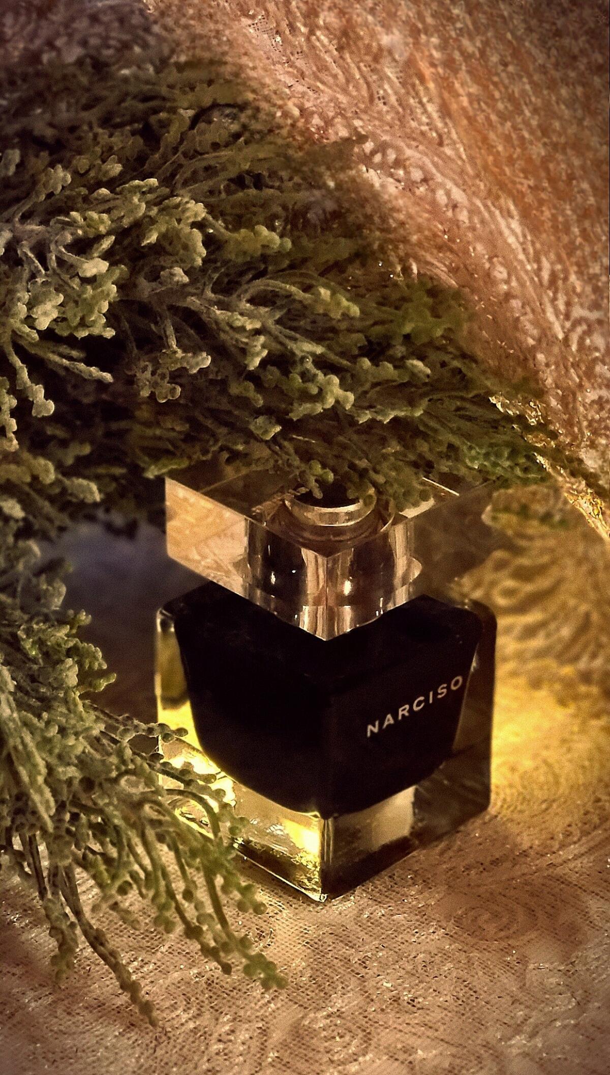 عطر ادکلن نارسيسو ا دو تویلت نارسيسو رودريگز - Narciso Eau de Toilette Narciso Rodriguez - بررسی، قیمت و خرید