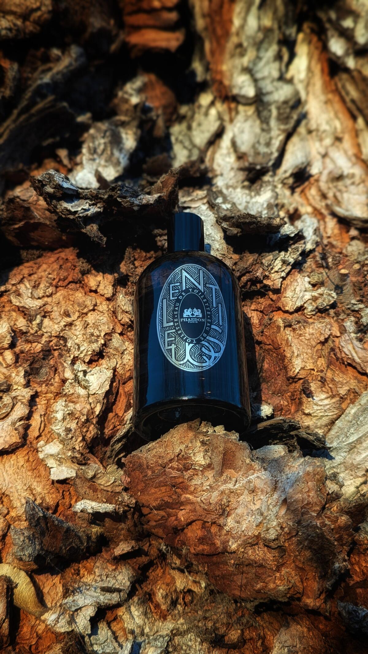 عطر ادکلن لنتیسک فایدون - Lentisque Phaedon - بررسی، قیمت و خرید