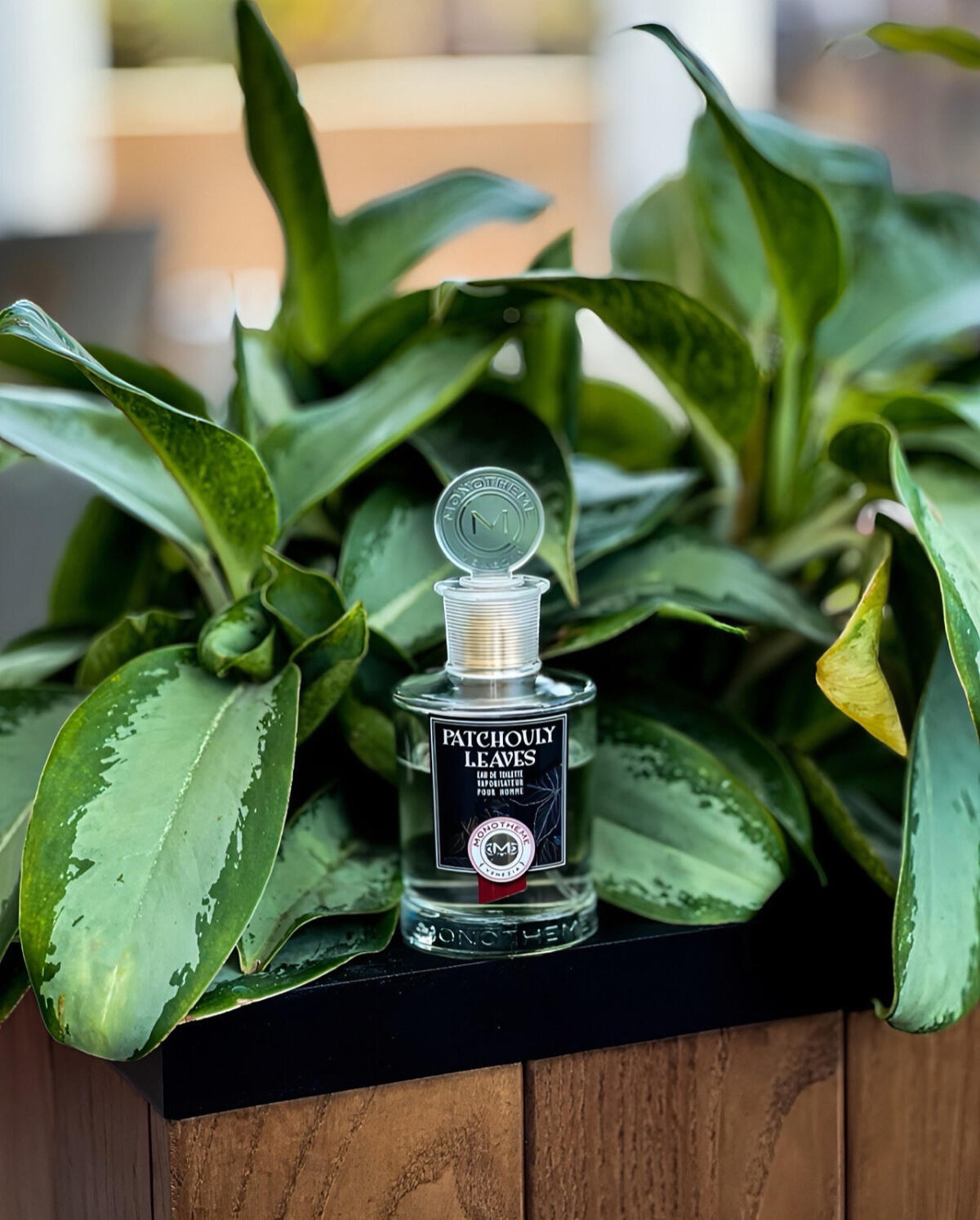 عطر ادکلن پاچولی لیوز مونوتم ونیزیا - Patchouli Leaves Monotheme Venezia - بررسی، قیمت و خرید