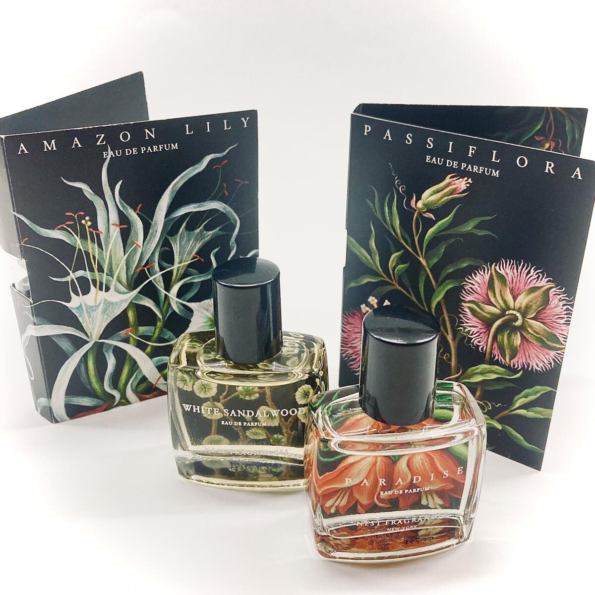 عطر ادکلن پسیفلورا نست - Passiflora Nest - بررسی، قیمت و خرید