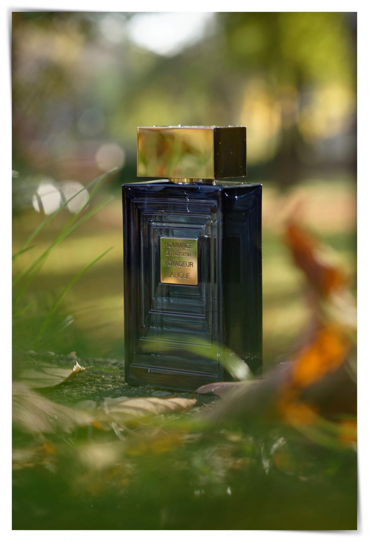 عطر ادکلن اومج ا لهوم واجور لالیک - Hommage a l'homme Voyageur Lalique - بررسی، قیمت و خرید